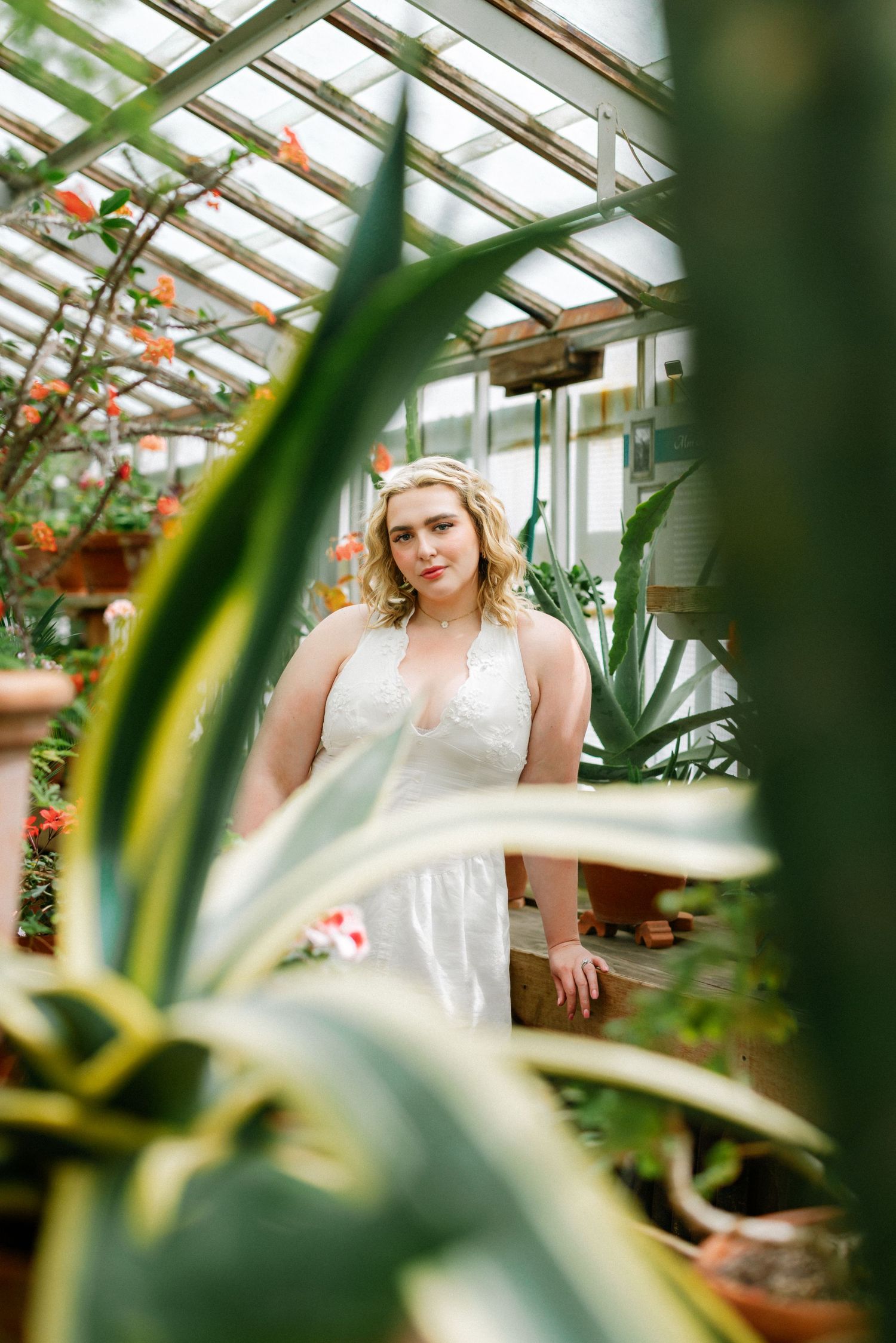 Bride in white lace dress poses among lush green plants in a sunlit greenhouse.