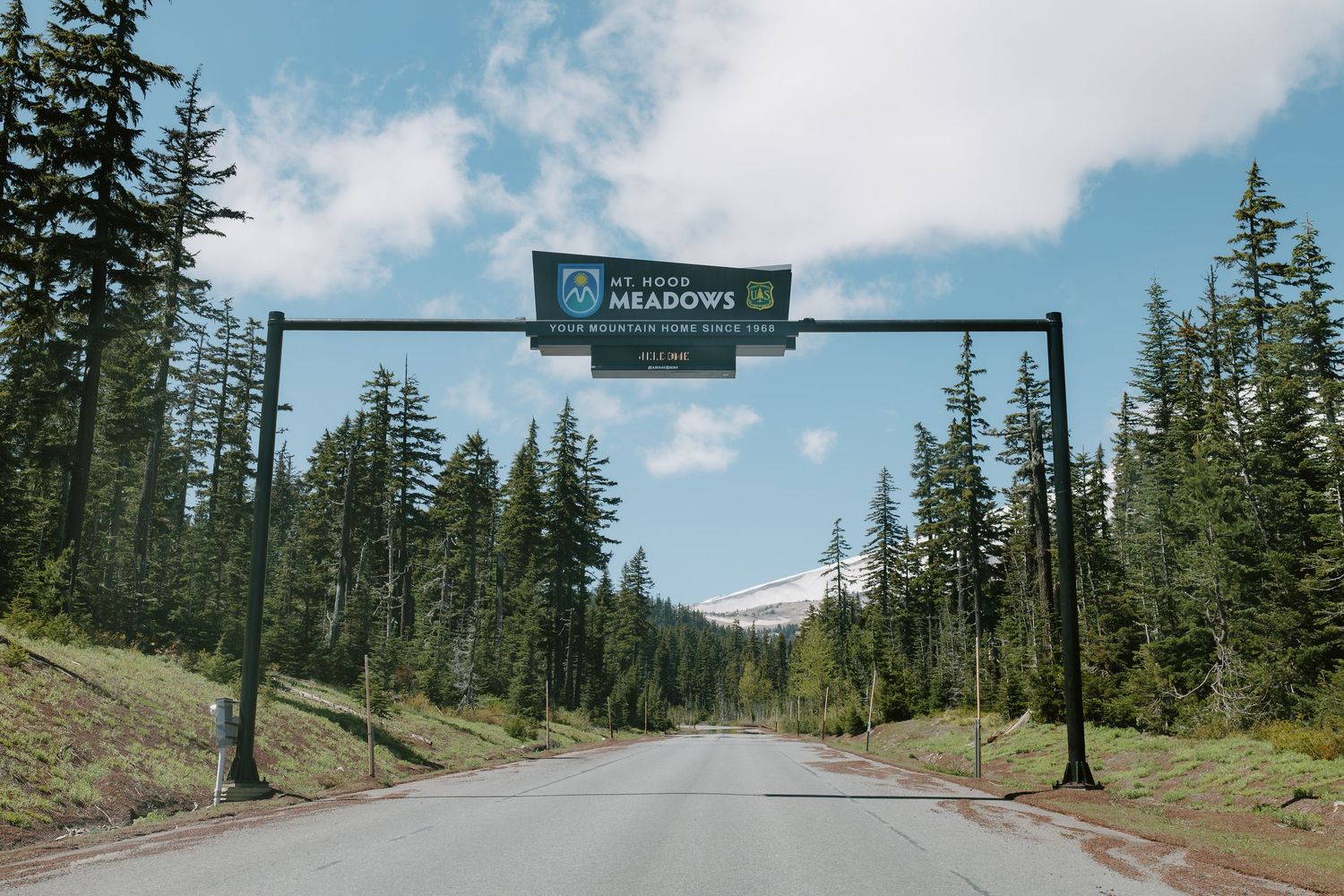 Entrance gate to Timberline Meadows surrounded by tall evergreen trees and a snow-capped mountain in the background.
