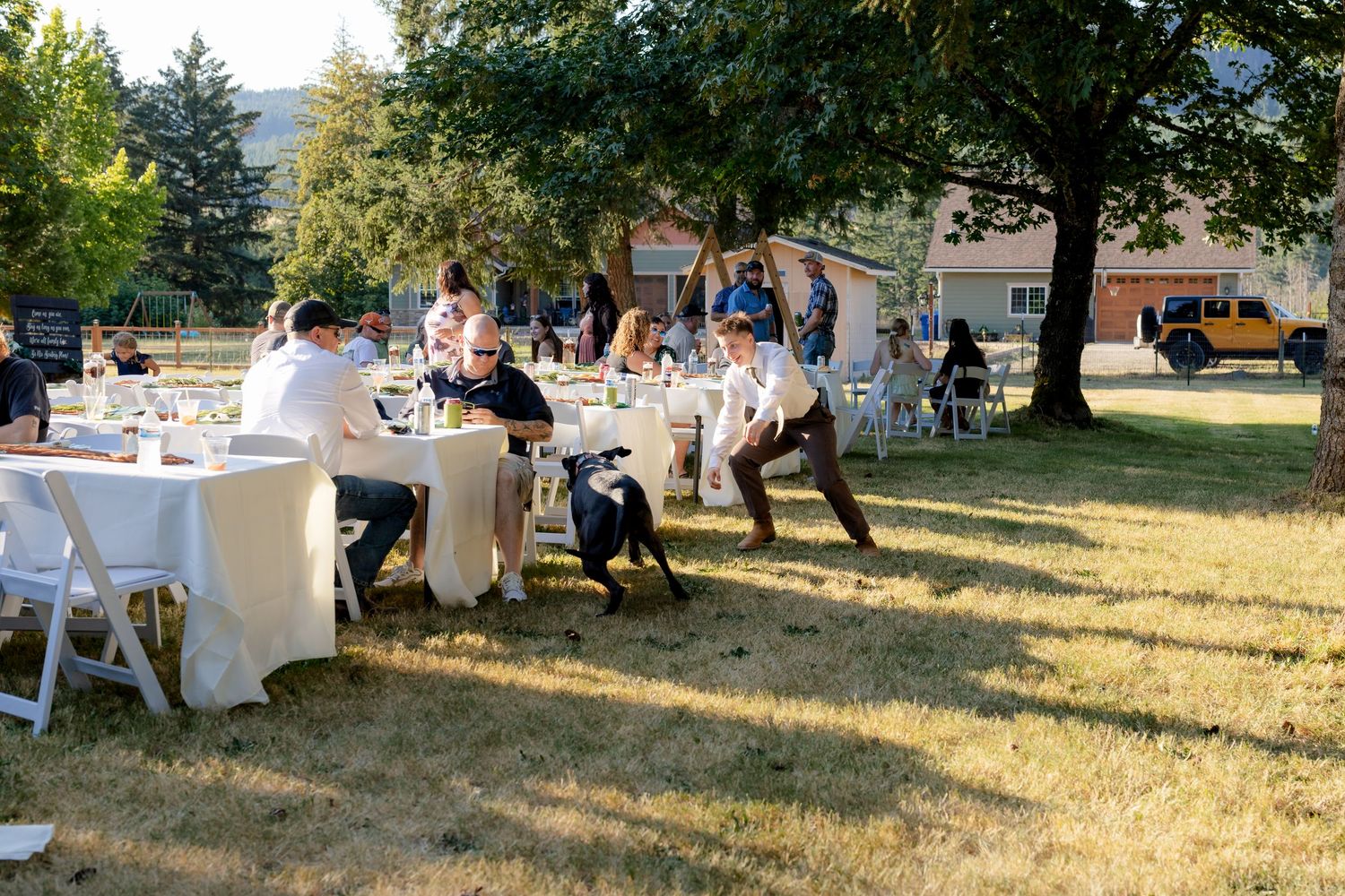 Guests dining at white round tables under a tree at a sunny outdoor wedding reception.