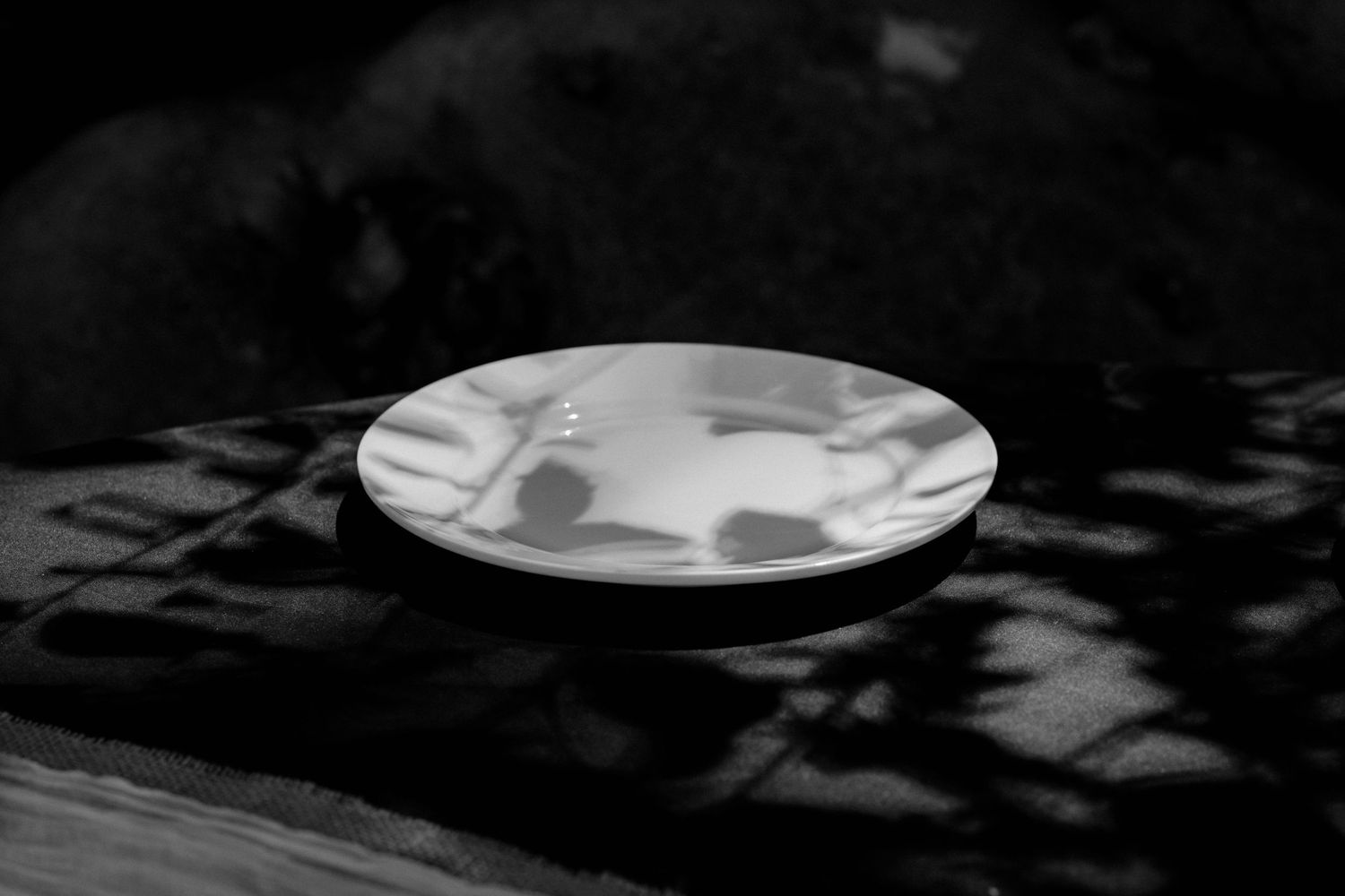 Black and white photo of a white ceramic plate resting on a textured surface with dramatic shadow patterns.