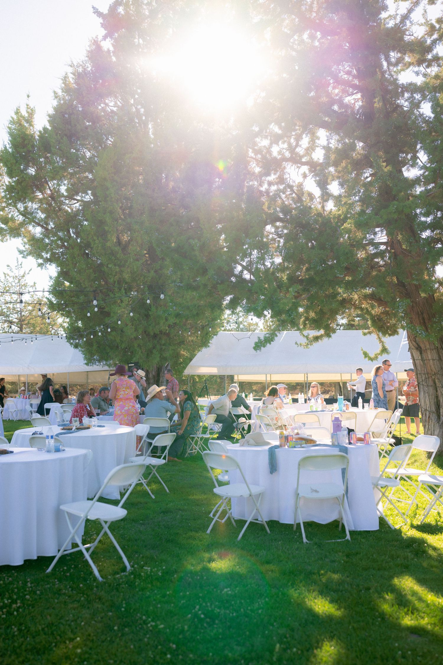 Elegant outdoor wedding reception with white round tables under large tree with sunlight streaming through branches.
