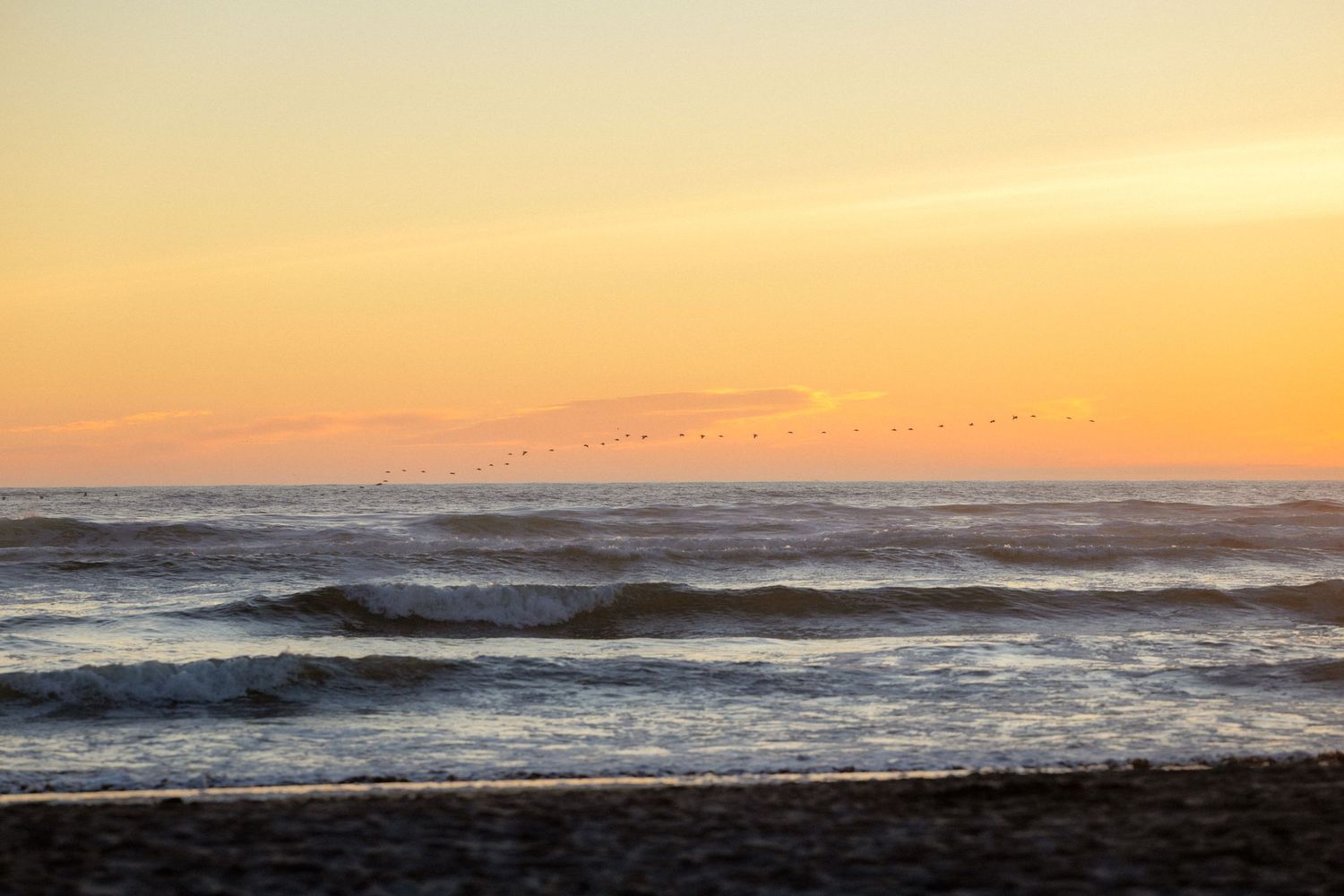 Golden sunset over ocean waves with a flock of birds flying in the distance above the horizon.