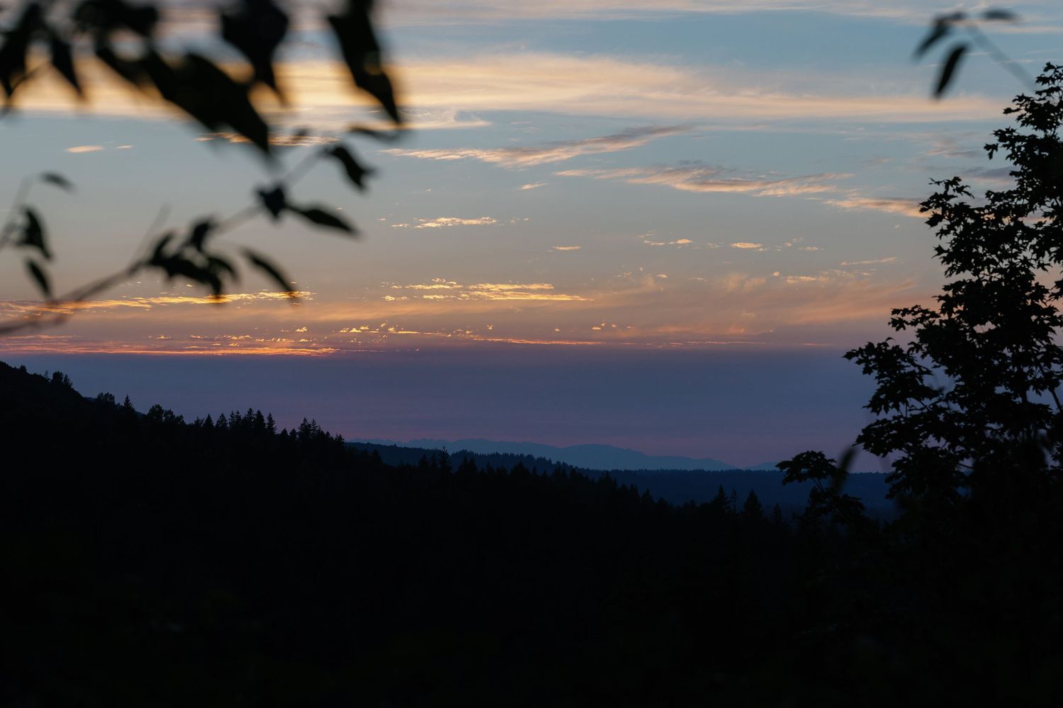 A panoramic view of a sunset over mountains with silhouetted trees in the foreground.