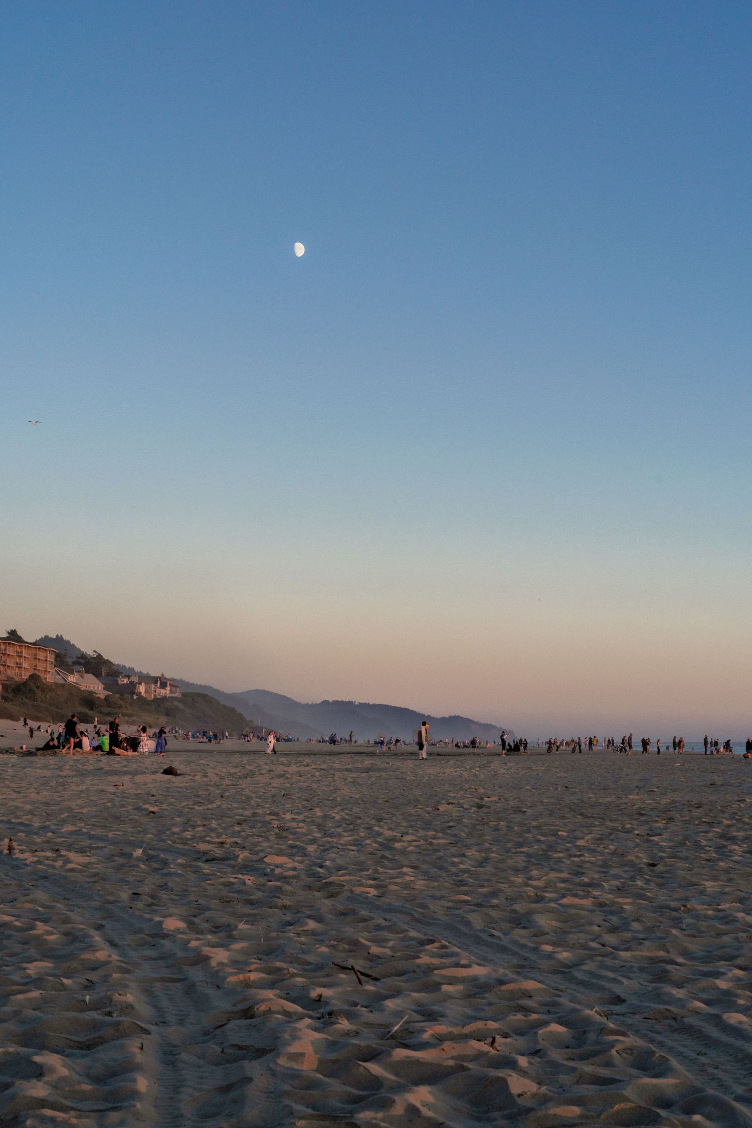 People gather on a sandy beach at dusk with a crescent moon visible in the pastel sky above coastal hills.