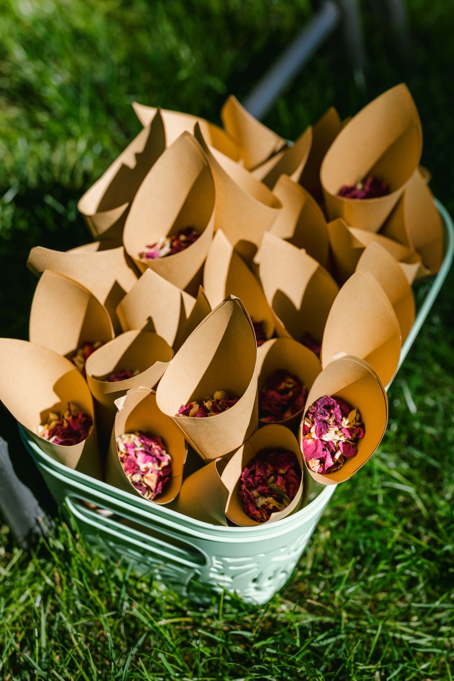 Kraft paper cones filled with flower petals arranged in white container on grass.