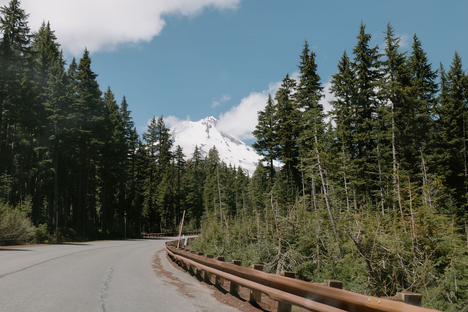 Scenic road through pine forest with snow-capped Mount Hood visible under partly cloudy sky.