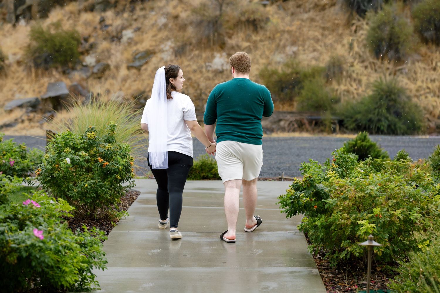 People walking along concrete path with greenery on sunny day.