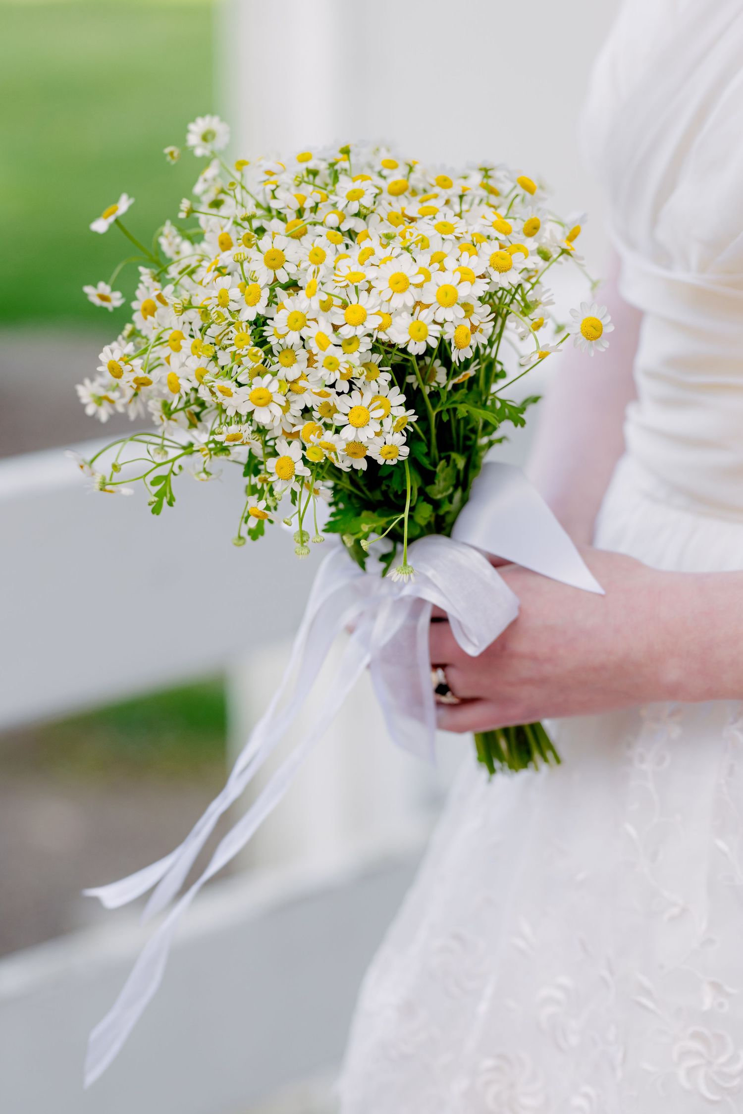 A bride in a white lace dress holds a loose bouquet of white chamomile daisies tied with a satin ribbon.