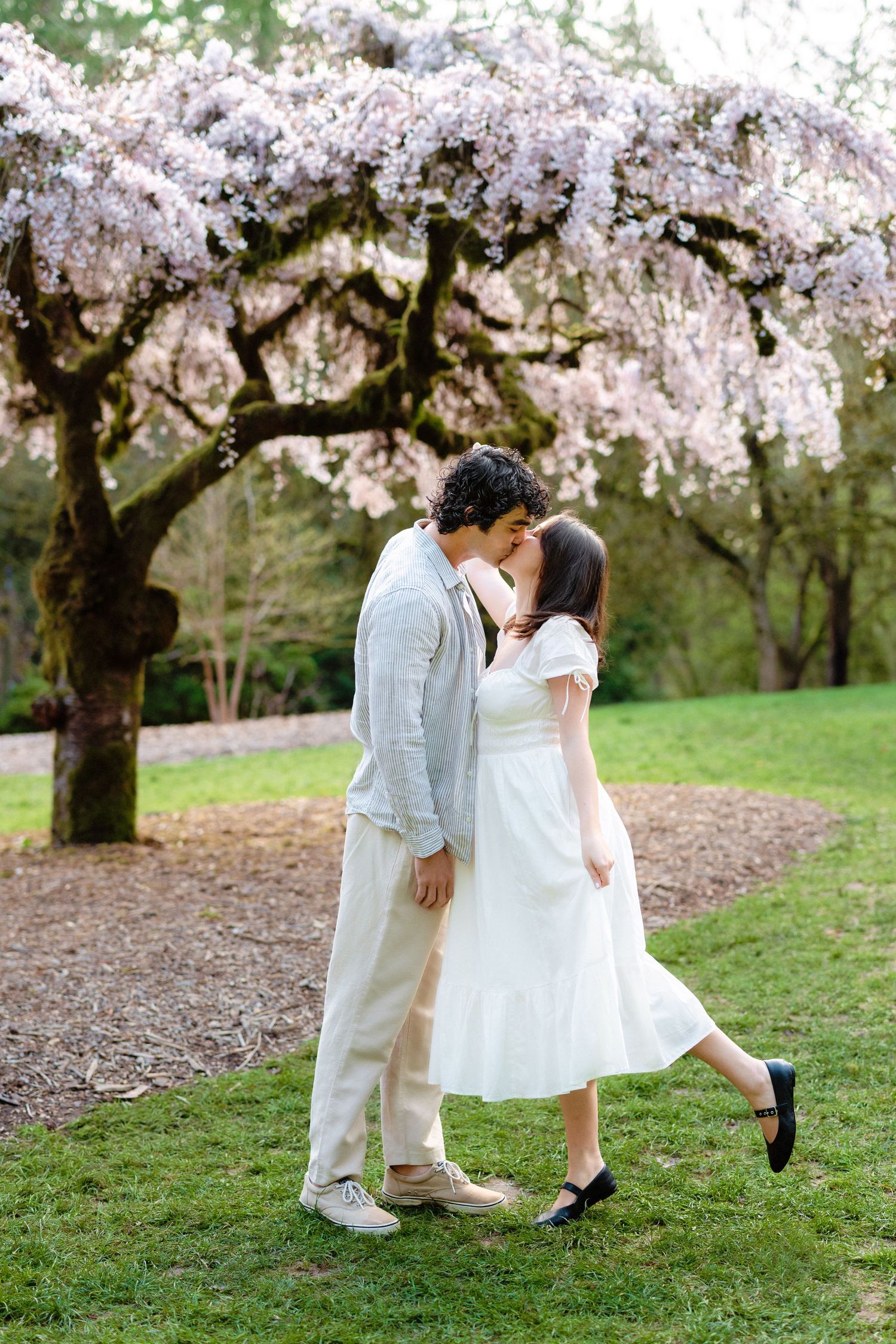 A couple shares a romantic moment under blooming cherry blossom trees in a park setting.