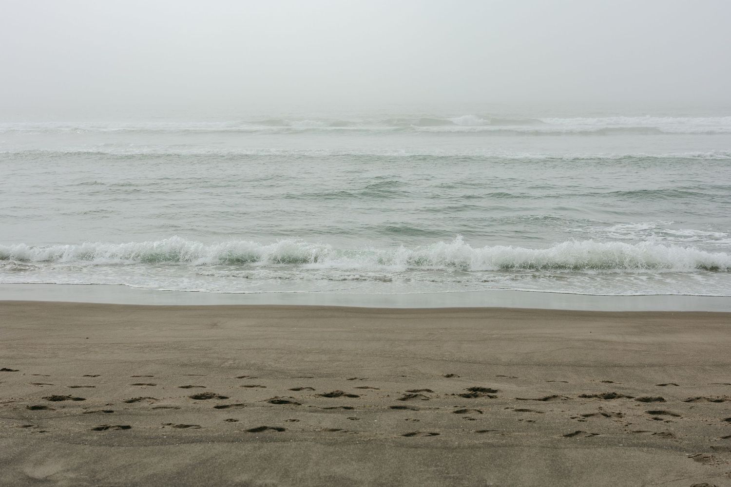 Moody seascape of a misty ocean beach with grey waves rolling onto shore.