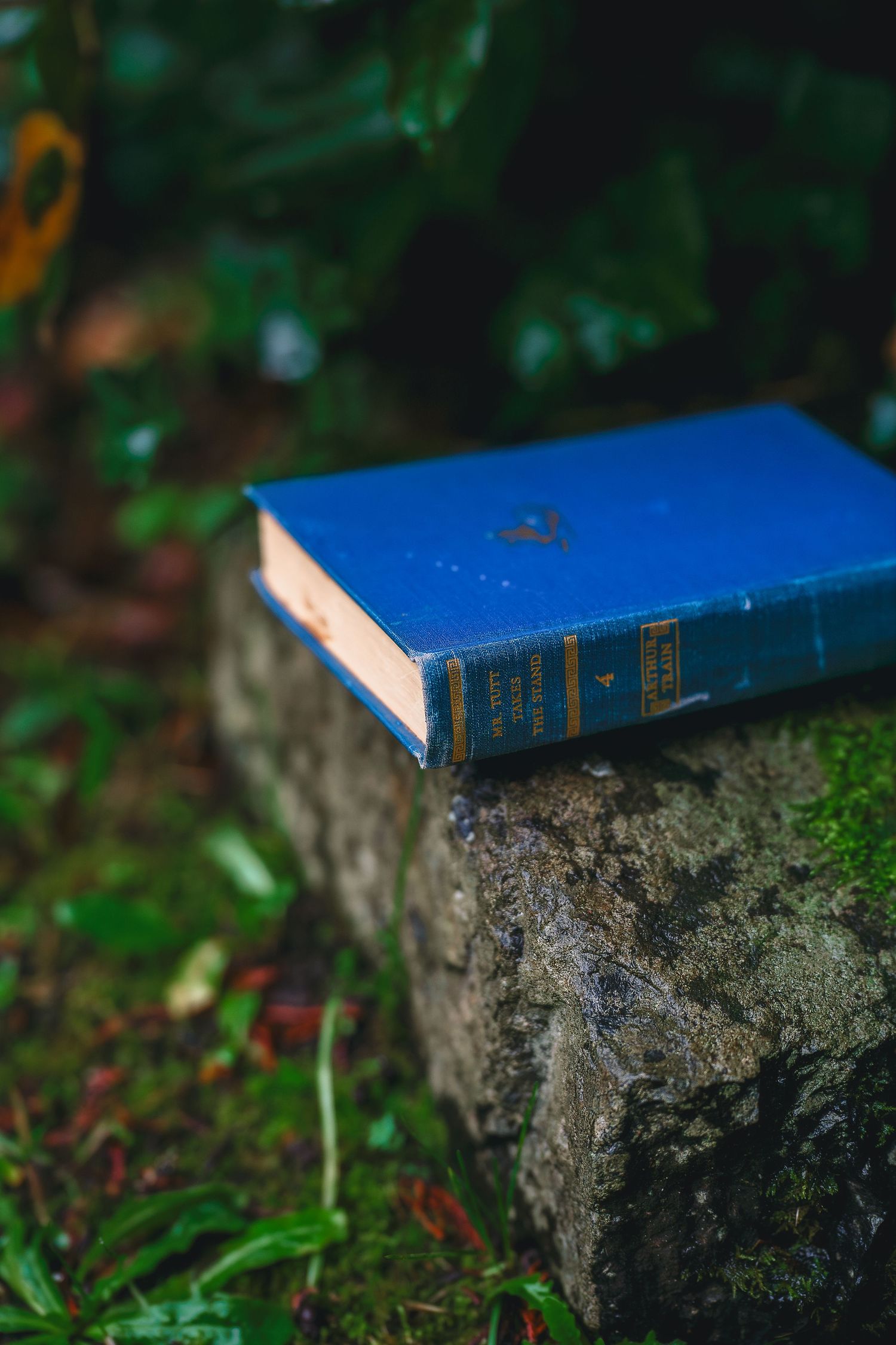 A blue book lies on a mossy stone surface in a natural outdoor setting.