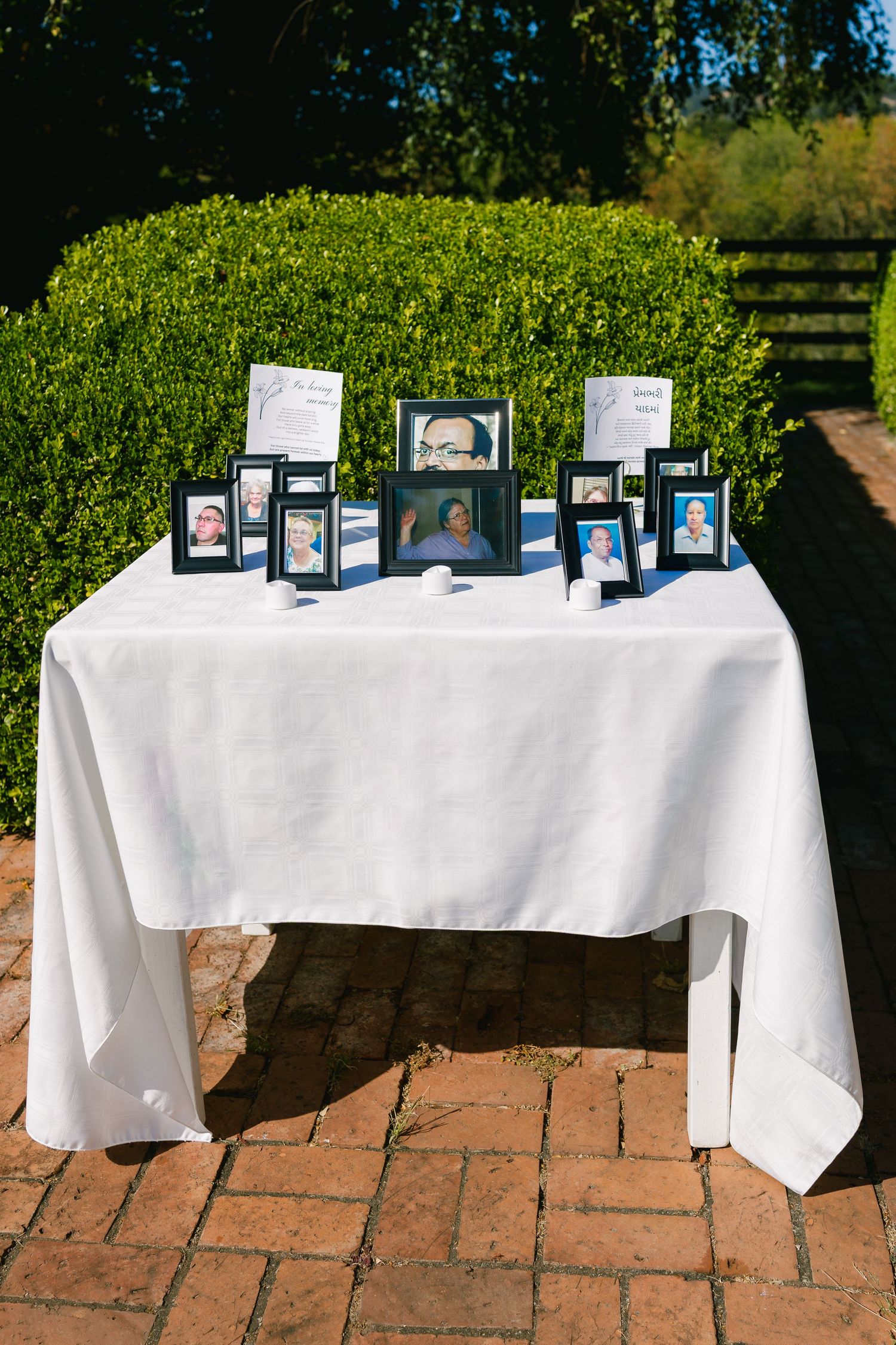A memorial table with framed photos displayed on white linens against a green hedge backdrop.