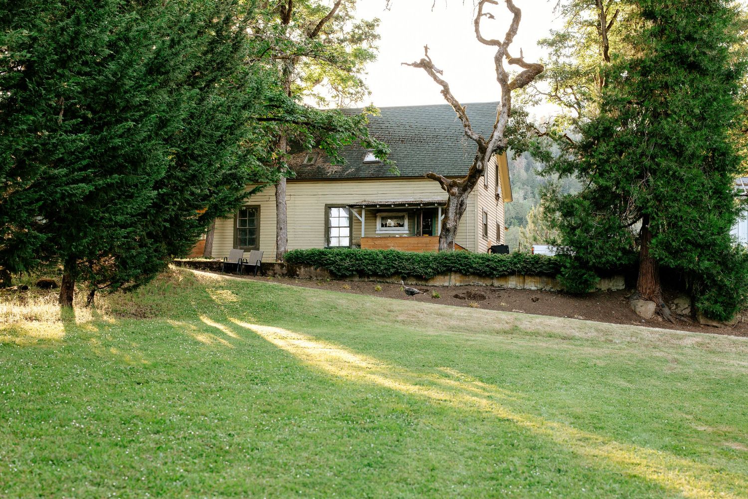 Charming white farmhouse surrounded by mature trees on a green lawn in a rural countryside setting.