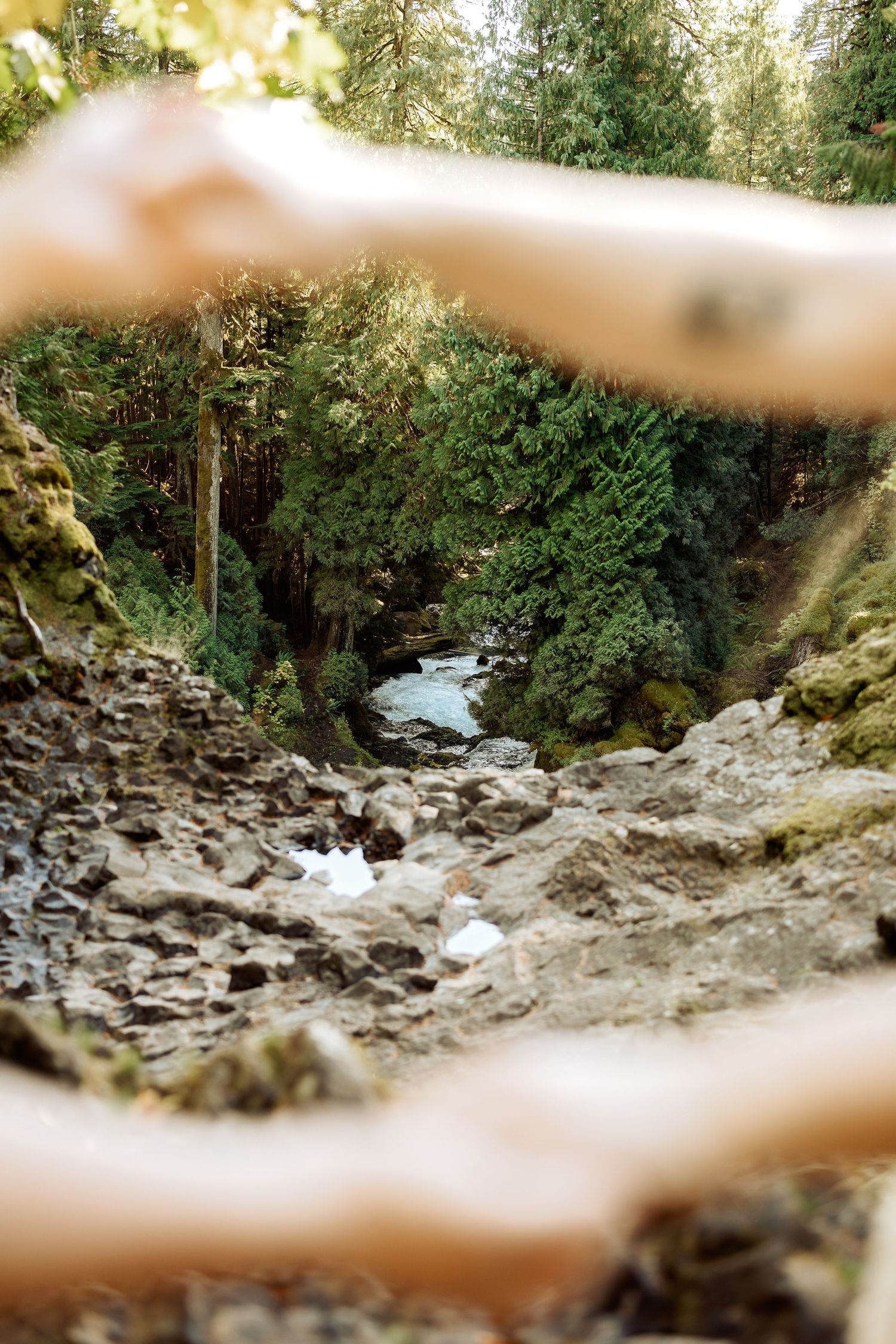 Rocky riverbed surrounded by green forest trees with sunlight filtering through the canopy.