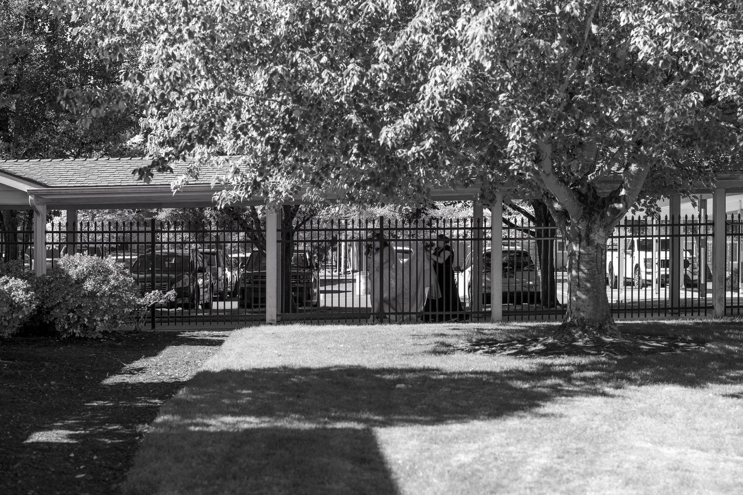 Black and white panoramic view of a tree-lined pathway with iron fencing and dappled sunlight creating shadows.