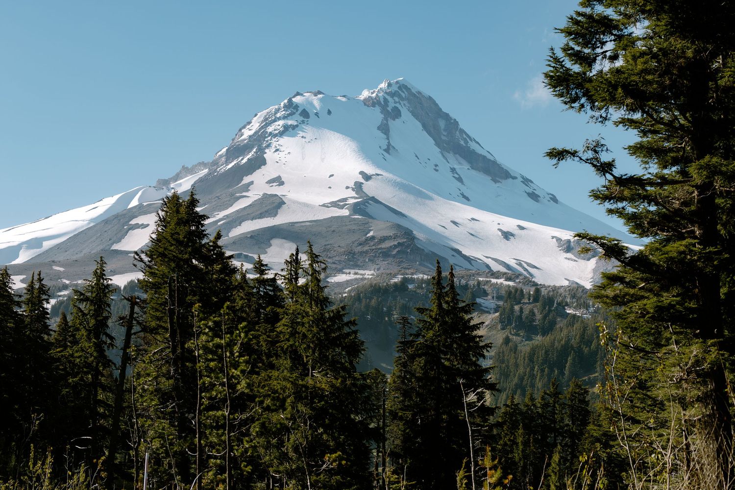 Snow-capped Mount Hood rises above a dense evergreen forest under a clear blue sky in Oregon.