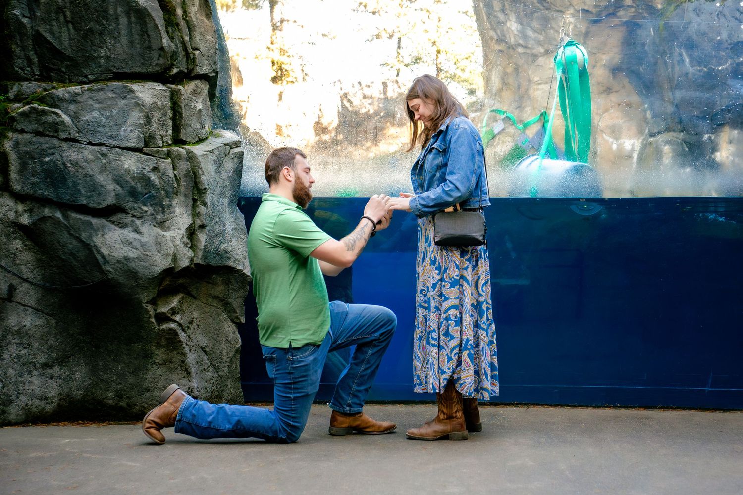A romantic proposal scene at an aquarium with large rock formations and blue water in the background.