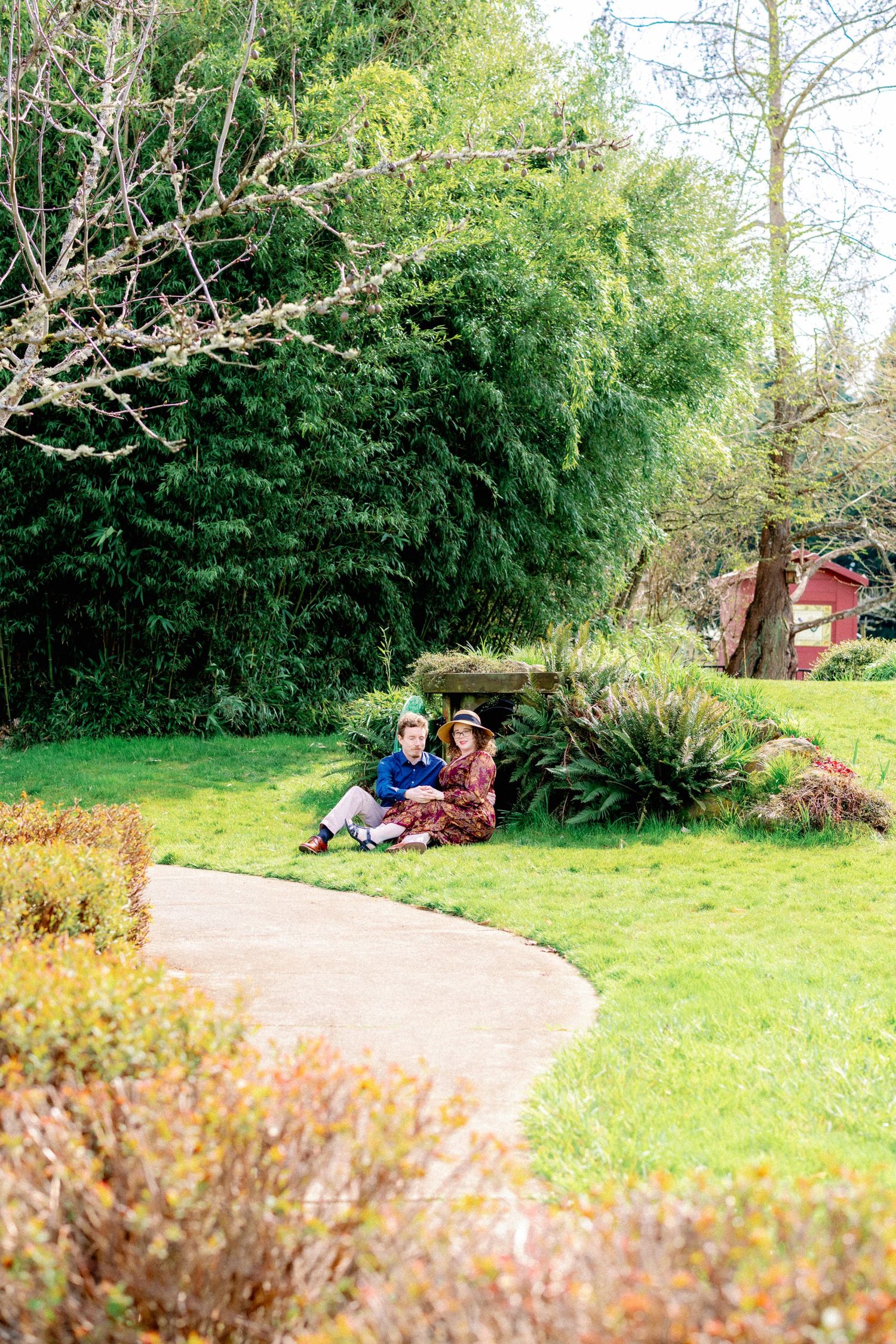 Two people relax on a grassy slope near evergreen trees in a peaceful park setting.