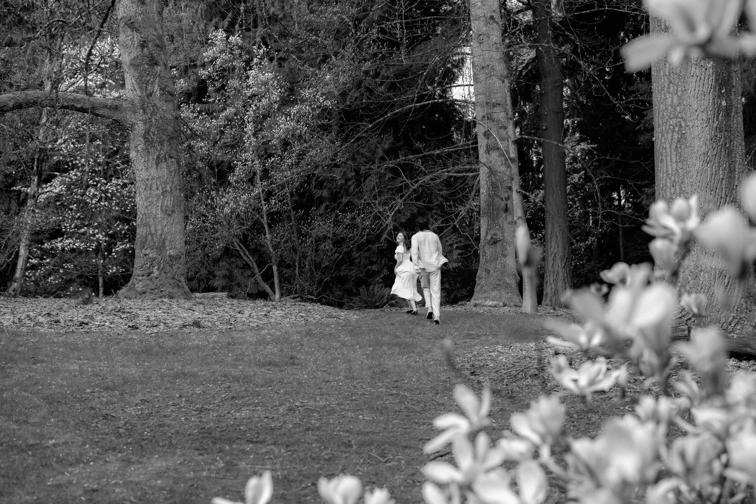 Black and white panoramic photograph of a forest path with flowers and trees in the foreground.