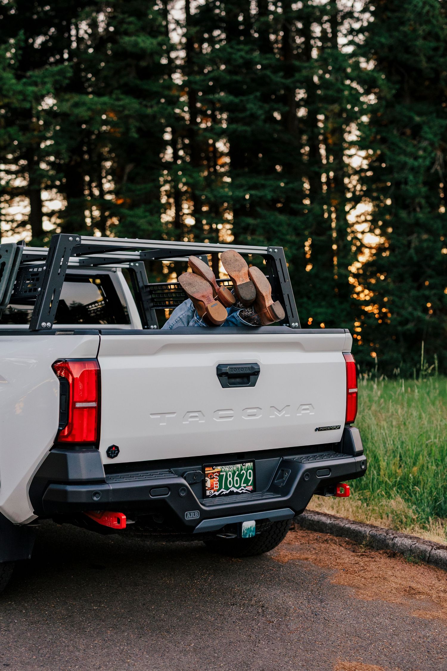 White pickup truck with Tacoma badge parked on forest trail during sunset with golden light through trees.