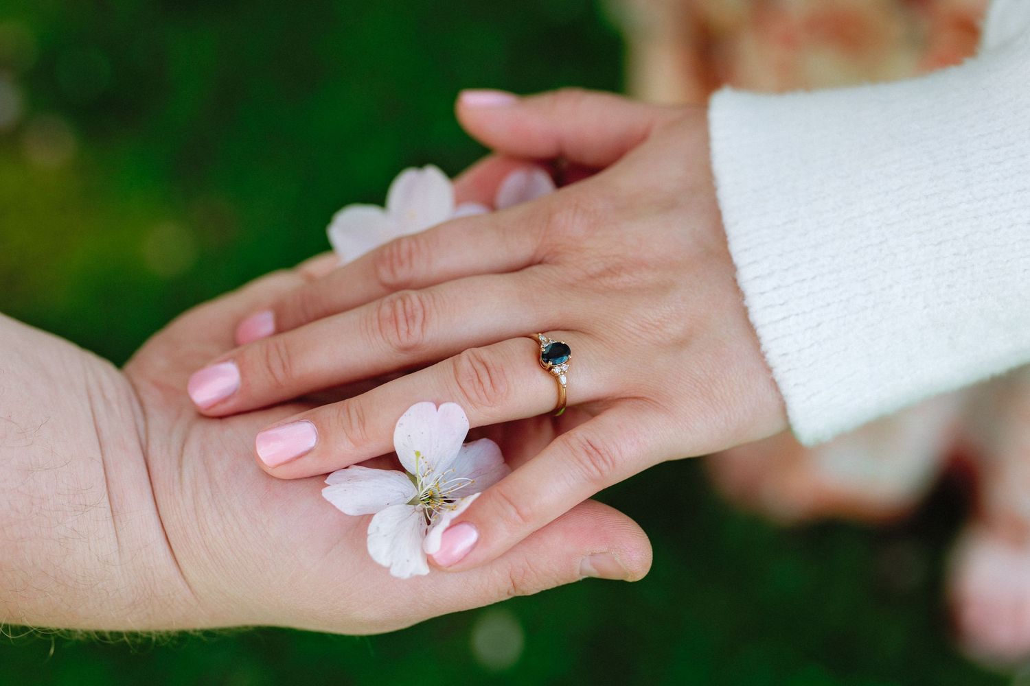 A close-up sequence showing hands holding delicate pink and white cherry blossom petals against a blurred green background.