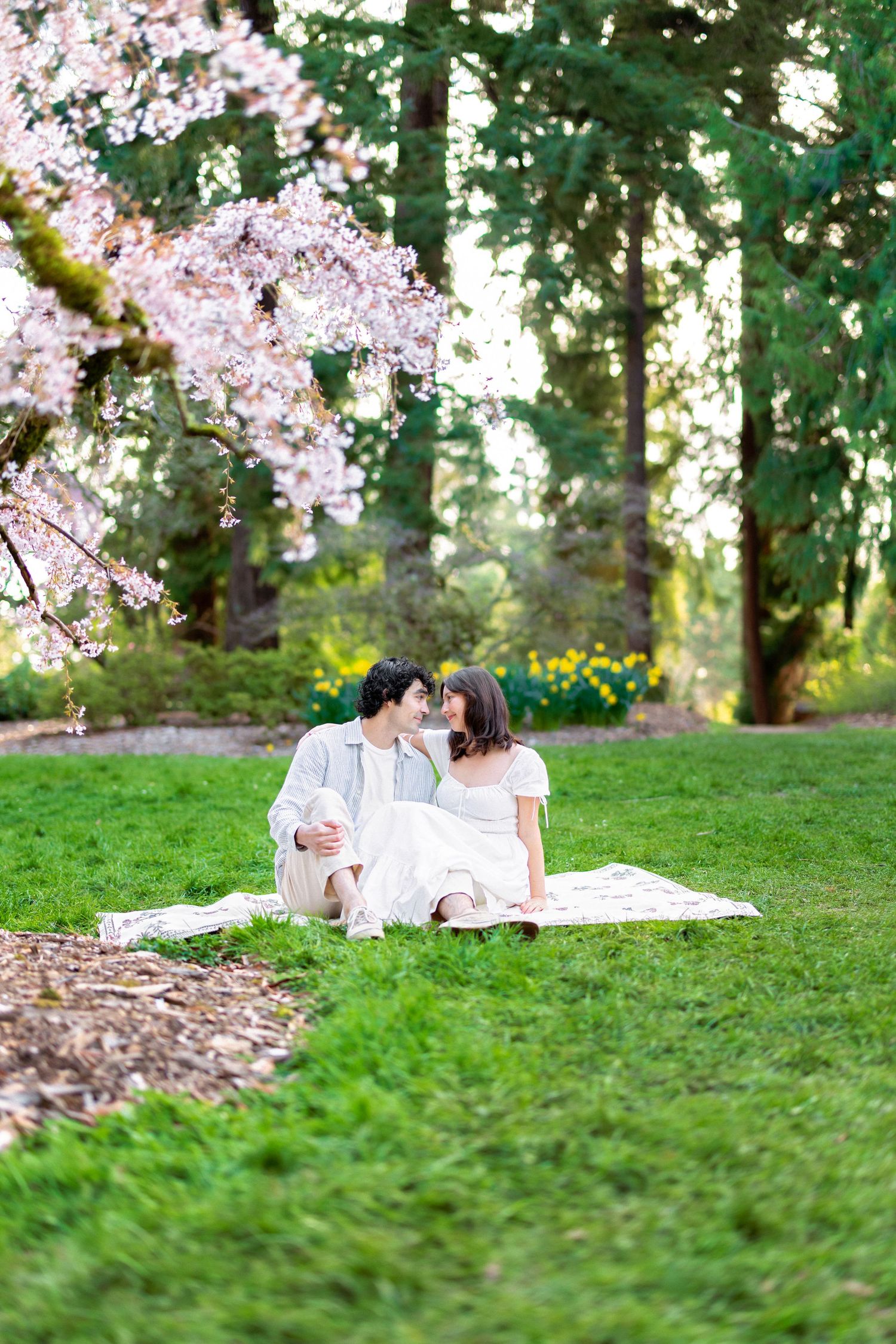 A couple shares an intimate moment on grassy ground beneath blooming cherry blossom trees.
