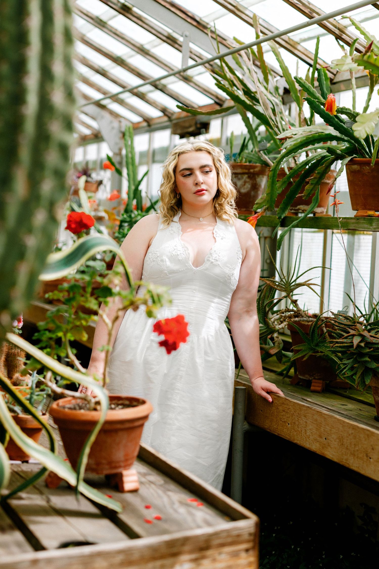 Plus-size blonde woman in white halter dress standing among cacti and red flowers in a greenhouse.