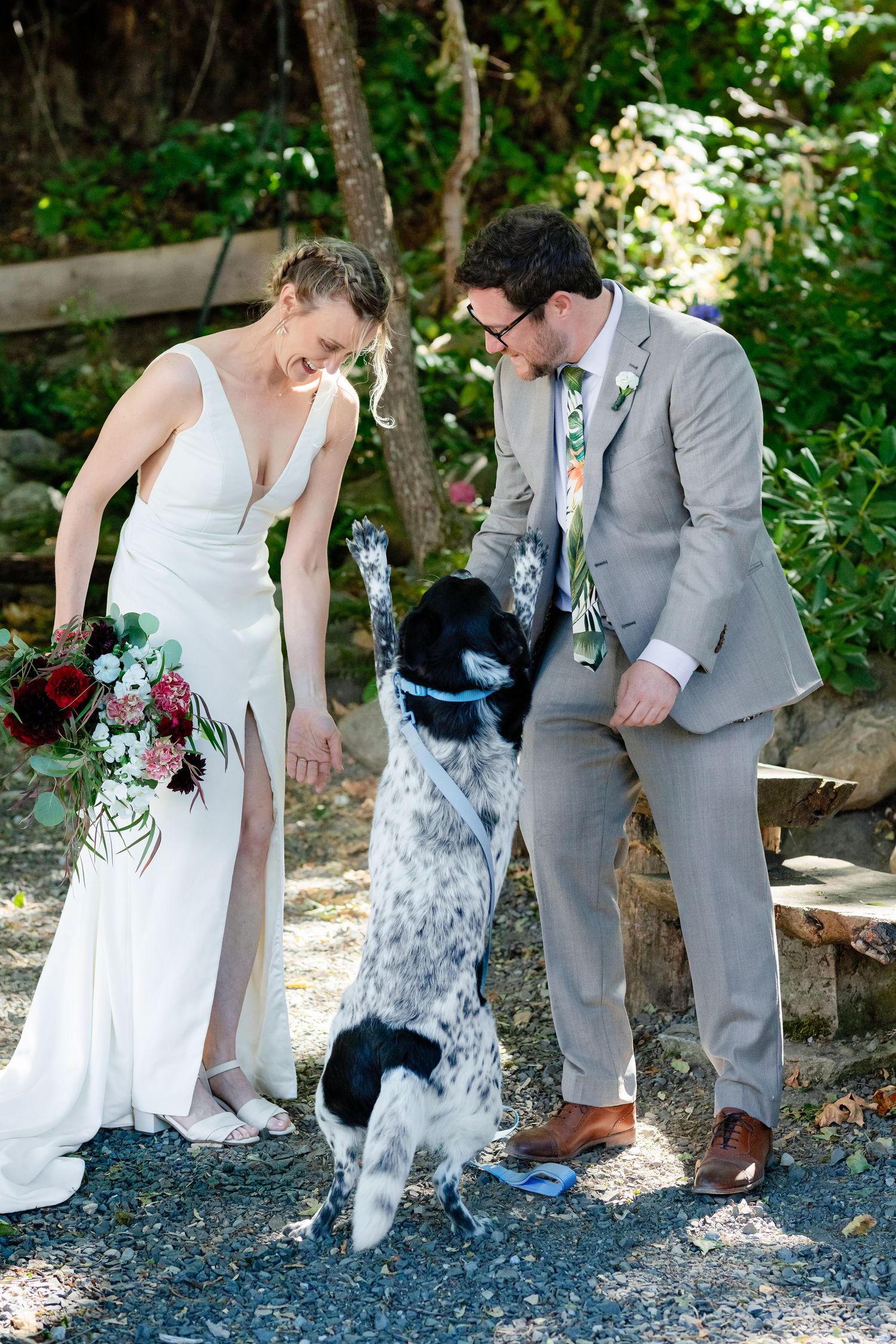 Bride and groom in wedding attire laugh as their black and white dog jumps up between them outdoors.