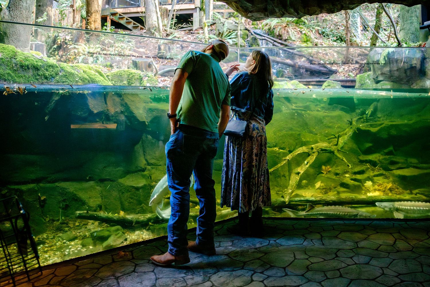 Visitors observe large aquarium displays behind glass in a dimly lit viewing area.