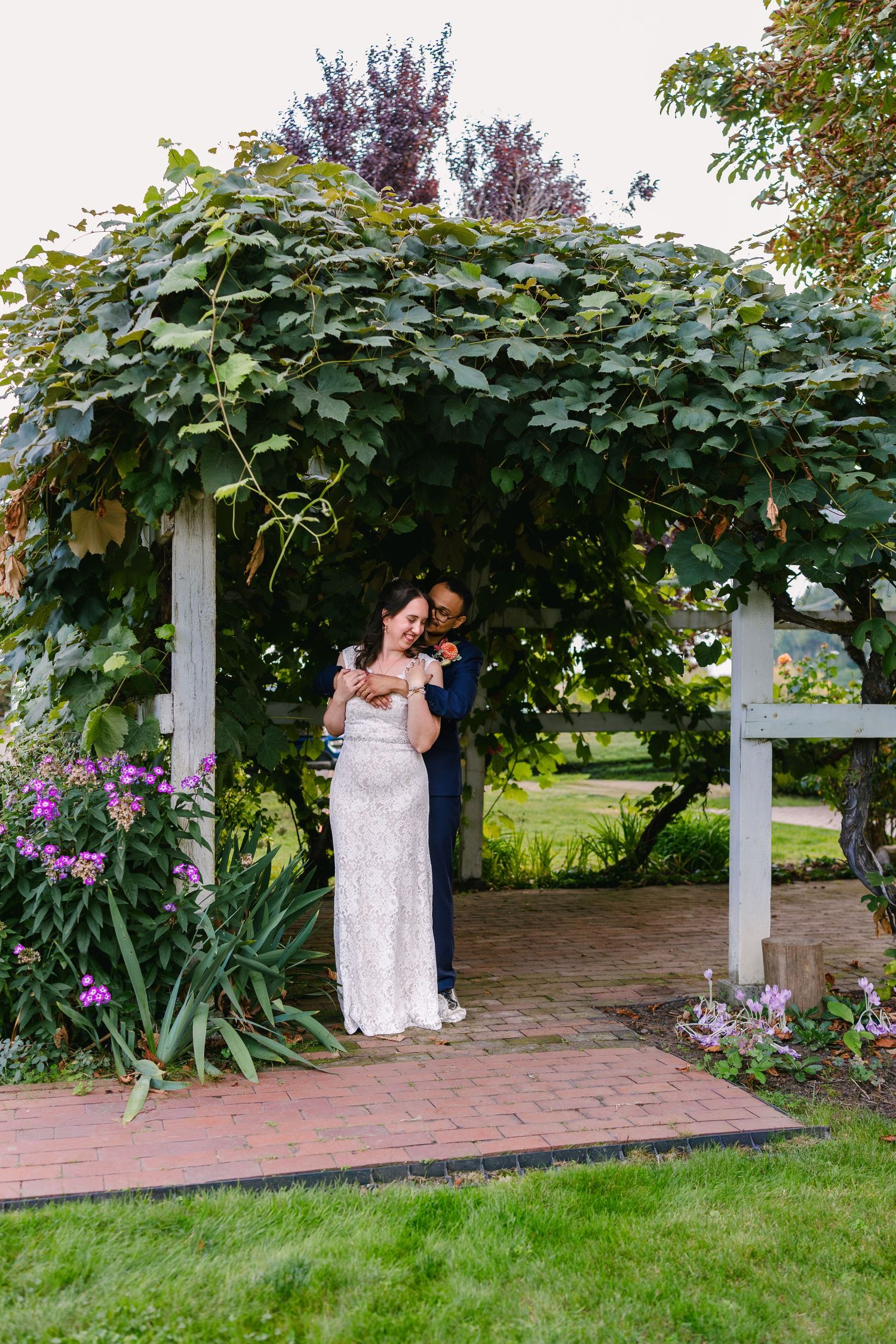 A romantic garden pergola covered in lush vines and purple flowers with a brick pathway below.