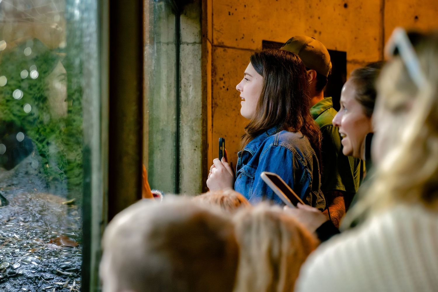 People sitting by large windows in a train or bus, looking out at the passing scenery in natural lighting.