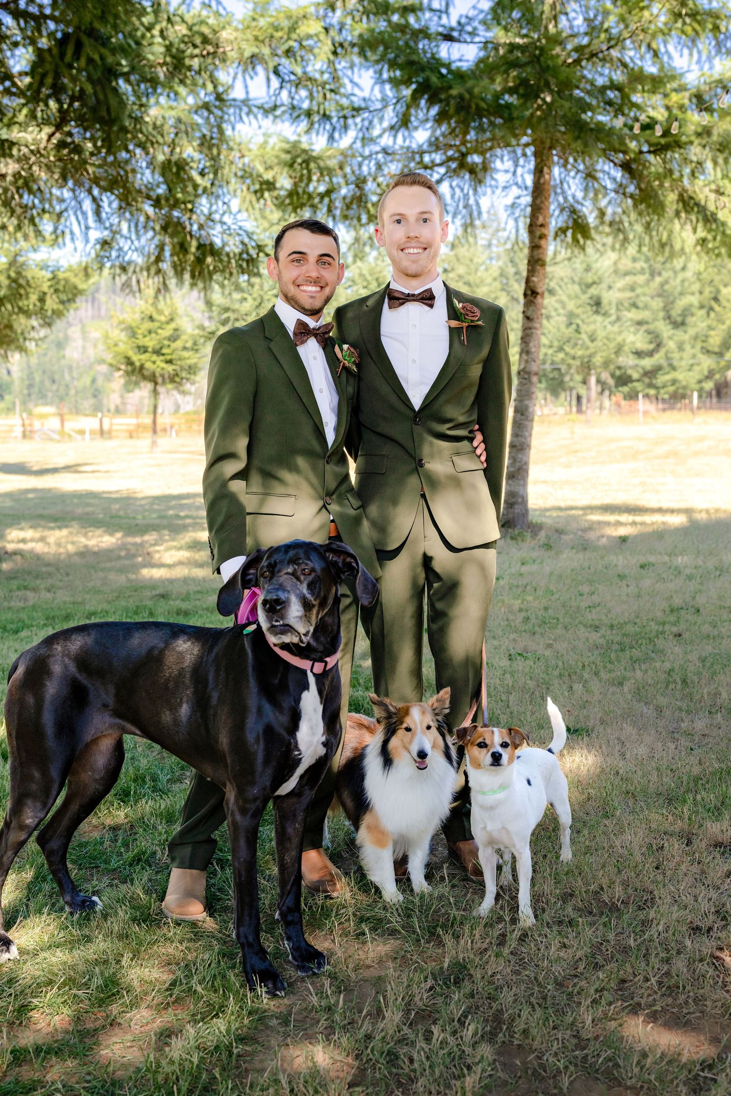 Two grooms in olive green suits pose with three dogs under pine trees at their outdoor wedding.
