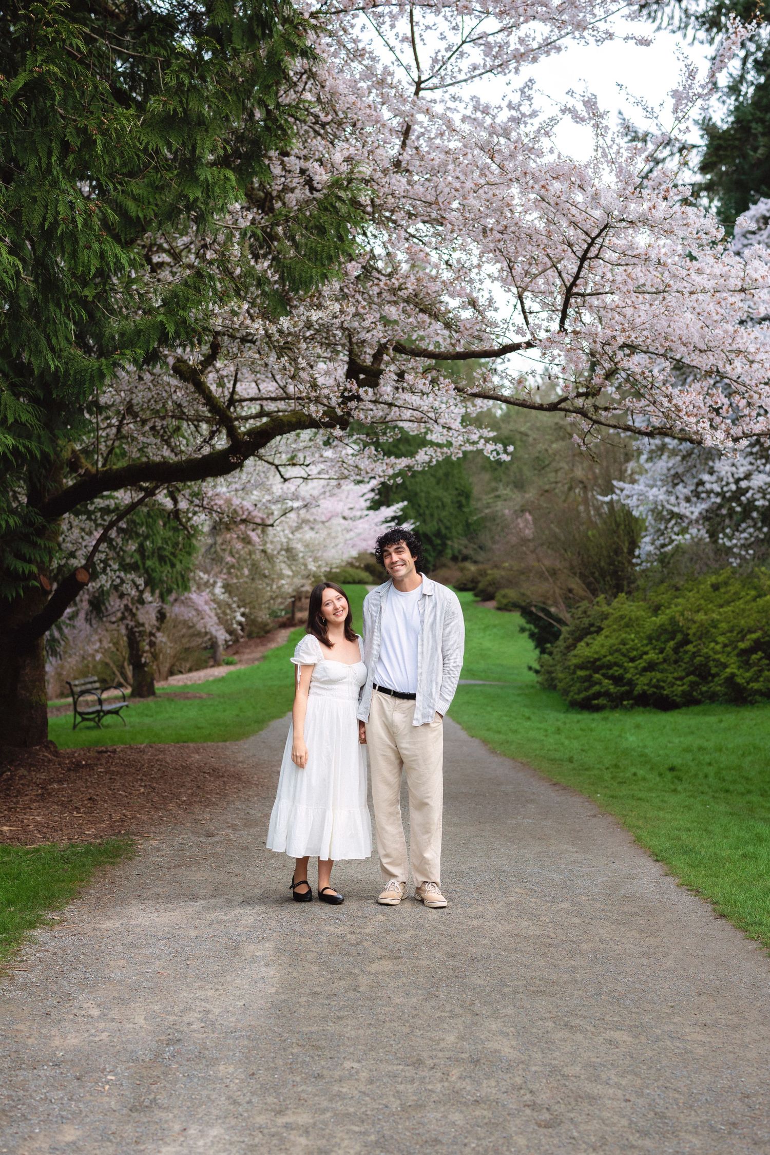 A couple walks together on a path under blooming cherry blossom trees in a spring garden.