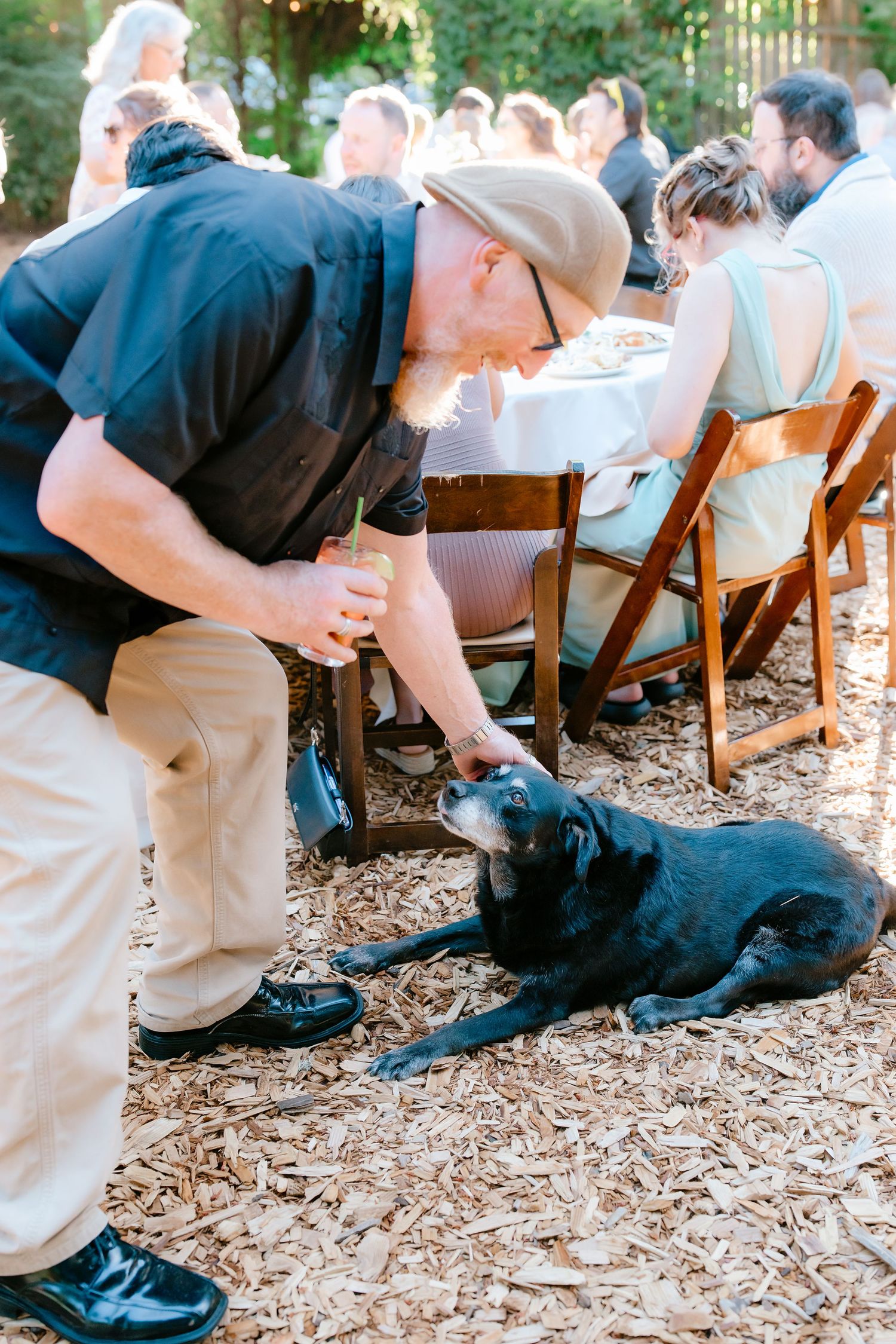 Man in black shirt feeds a black Labrador dog during an outdoor wedding reception on wood chips.