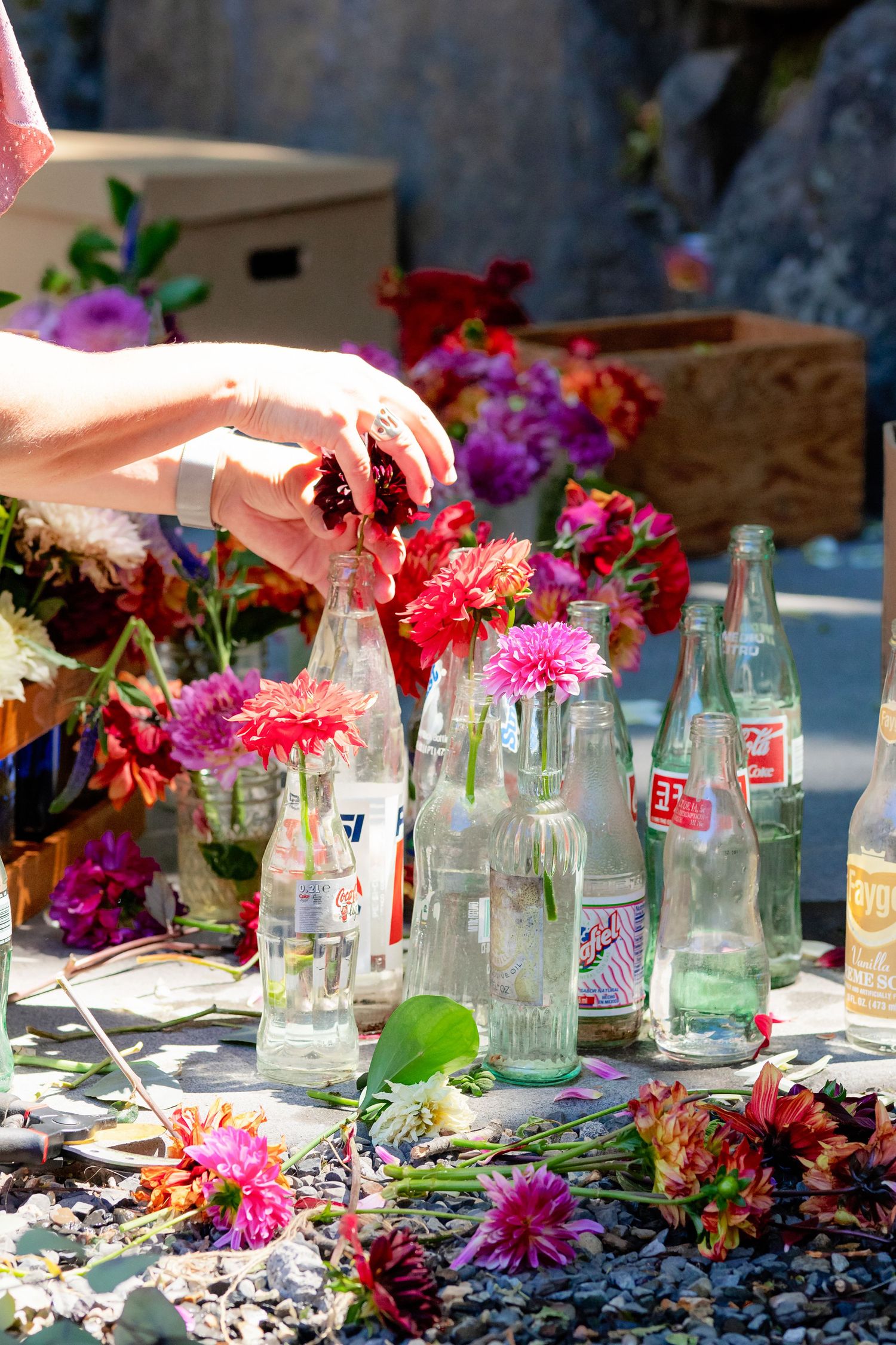 Hand arranging colorful pink and red flowers in vintage glass soda bottles on an outdoor table.