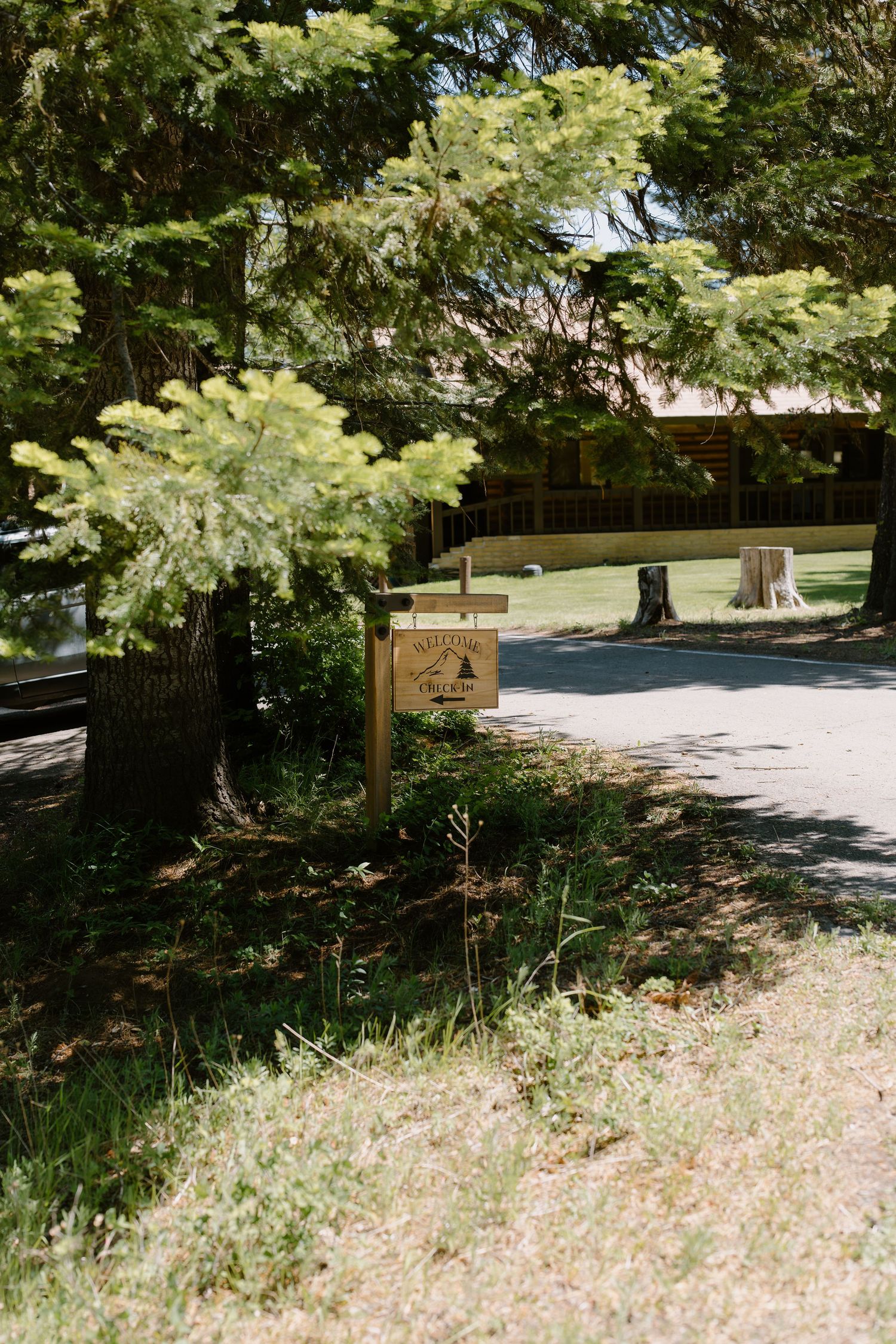 Wooden welcome sign surrounded by tall pine trees along a sunlit driveway at an outdoor venue.