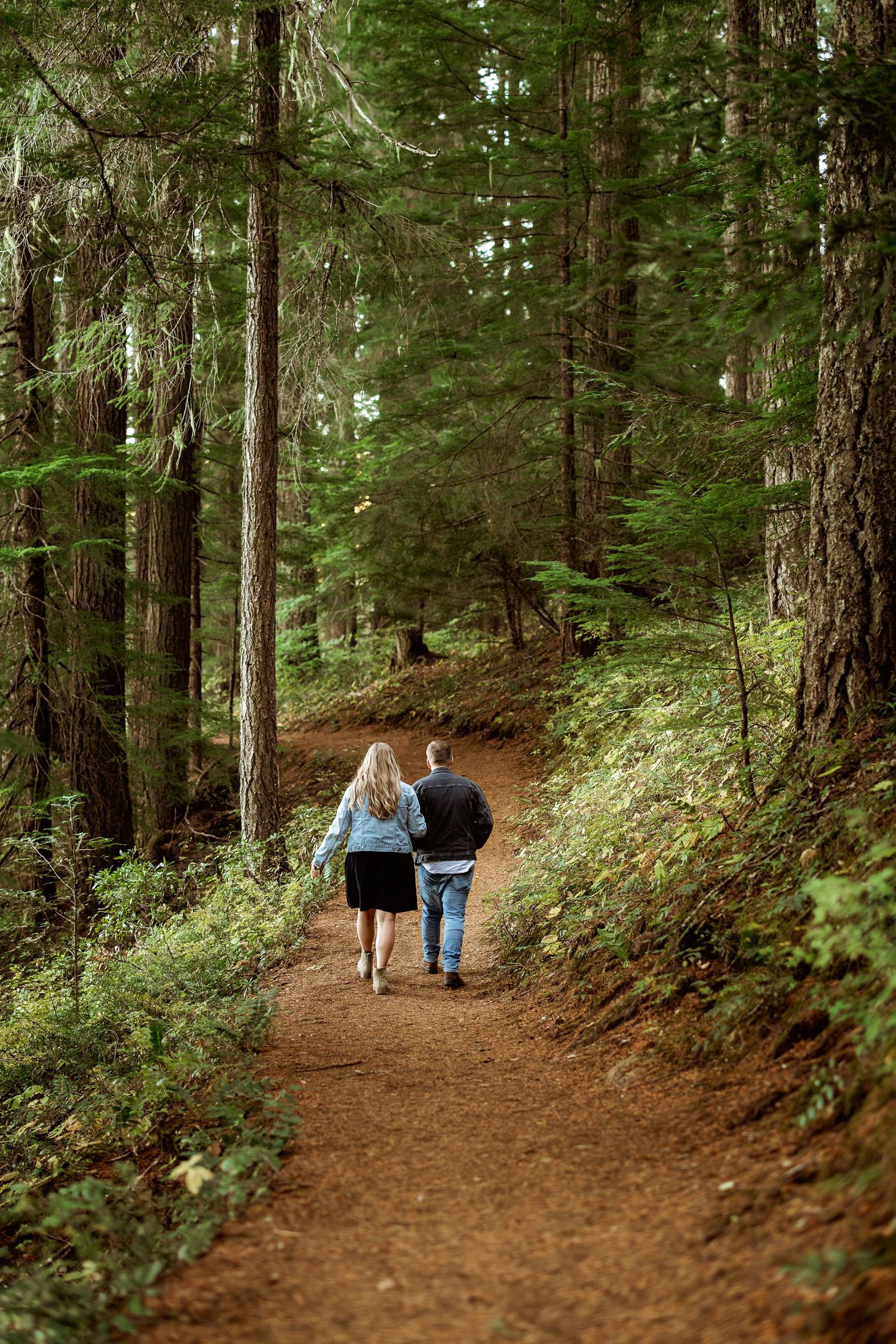 Two people walk hand in hand down a winding forest trail surrounded by tall evergreen trees.