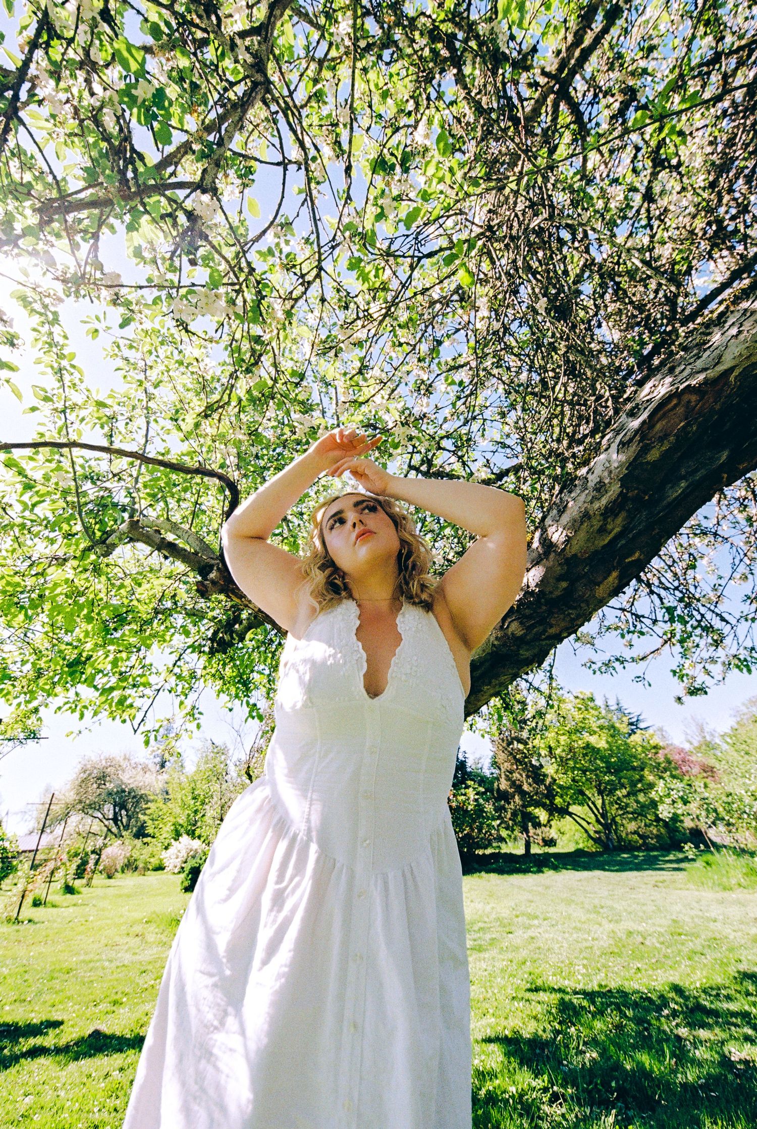 A woman in a white lace dress stands under a blossoming tree reaching up toward the branches.