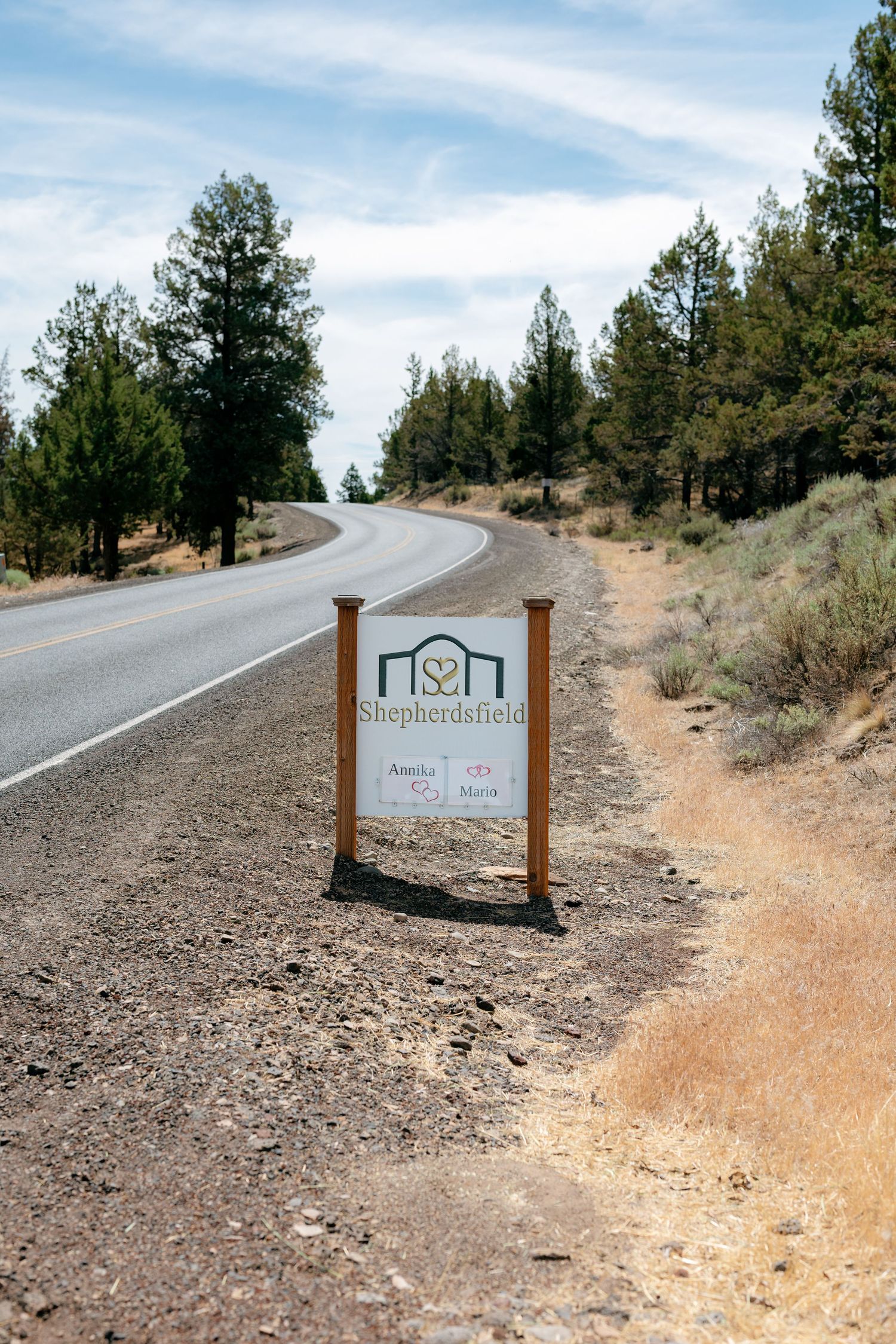 Shepherdsfield wedding venue sign along a rural road surrounded by pine trees under blue sky.