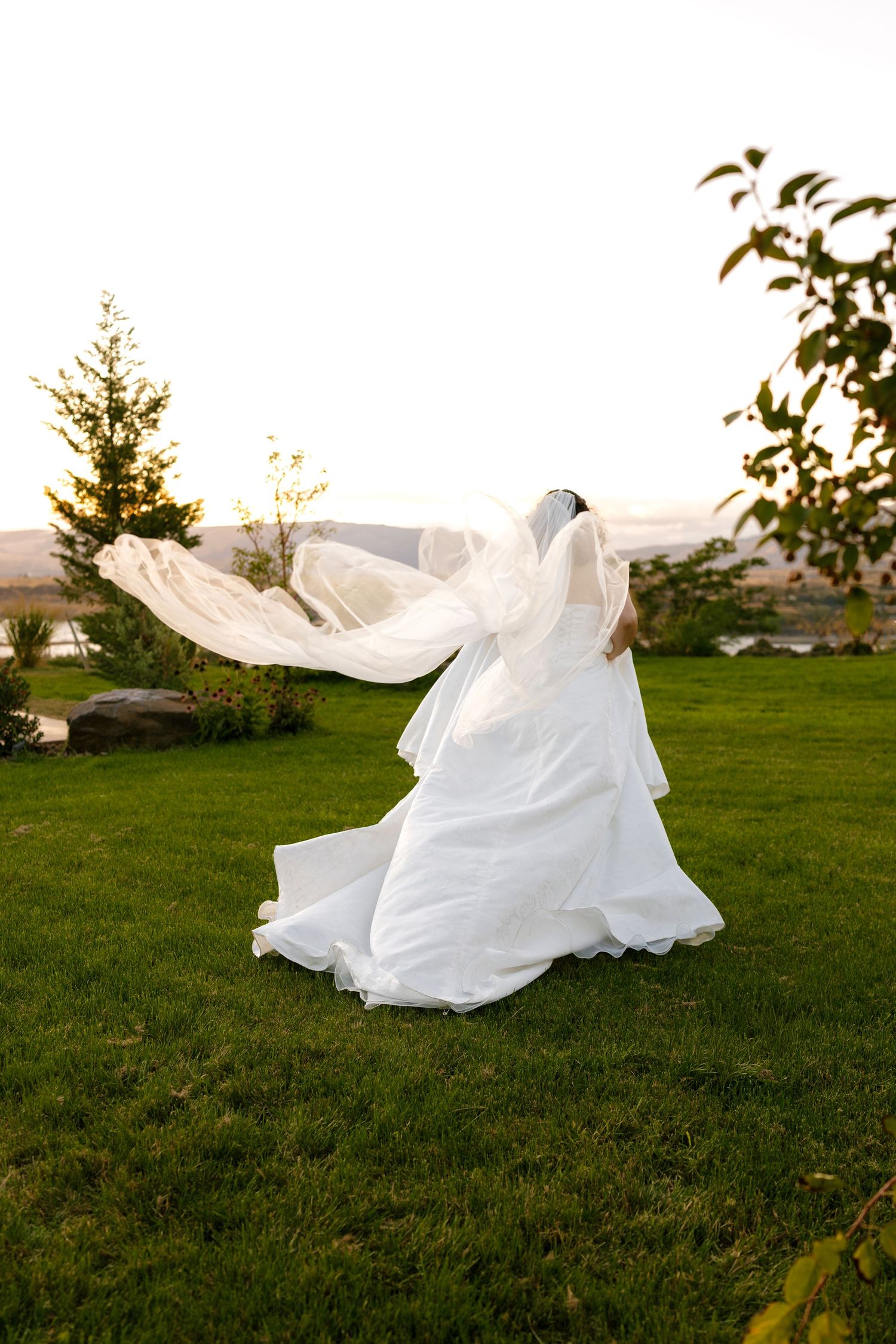 Flowing white wedding dress fabric billowing dramatically across a green lawn at sunset.
