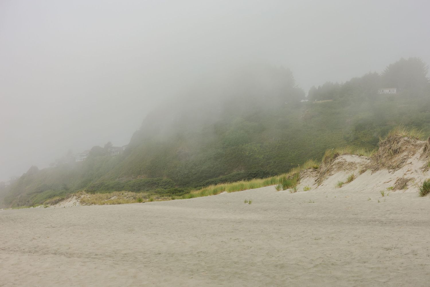 Misty coastal landscape with rolling sand dunes and foggy atmosphere.