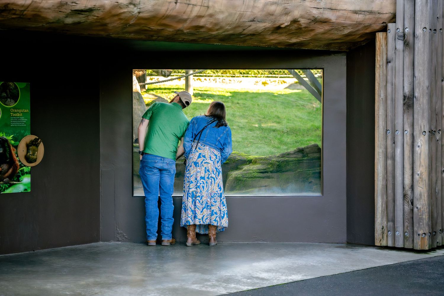 Visitors observe aquarium exhibit through large viewing window.