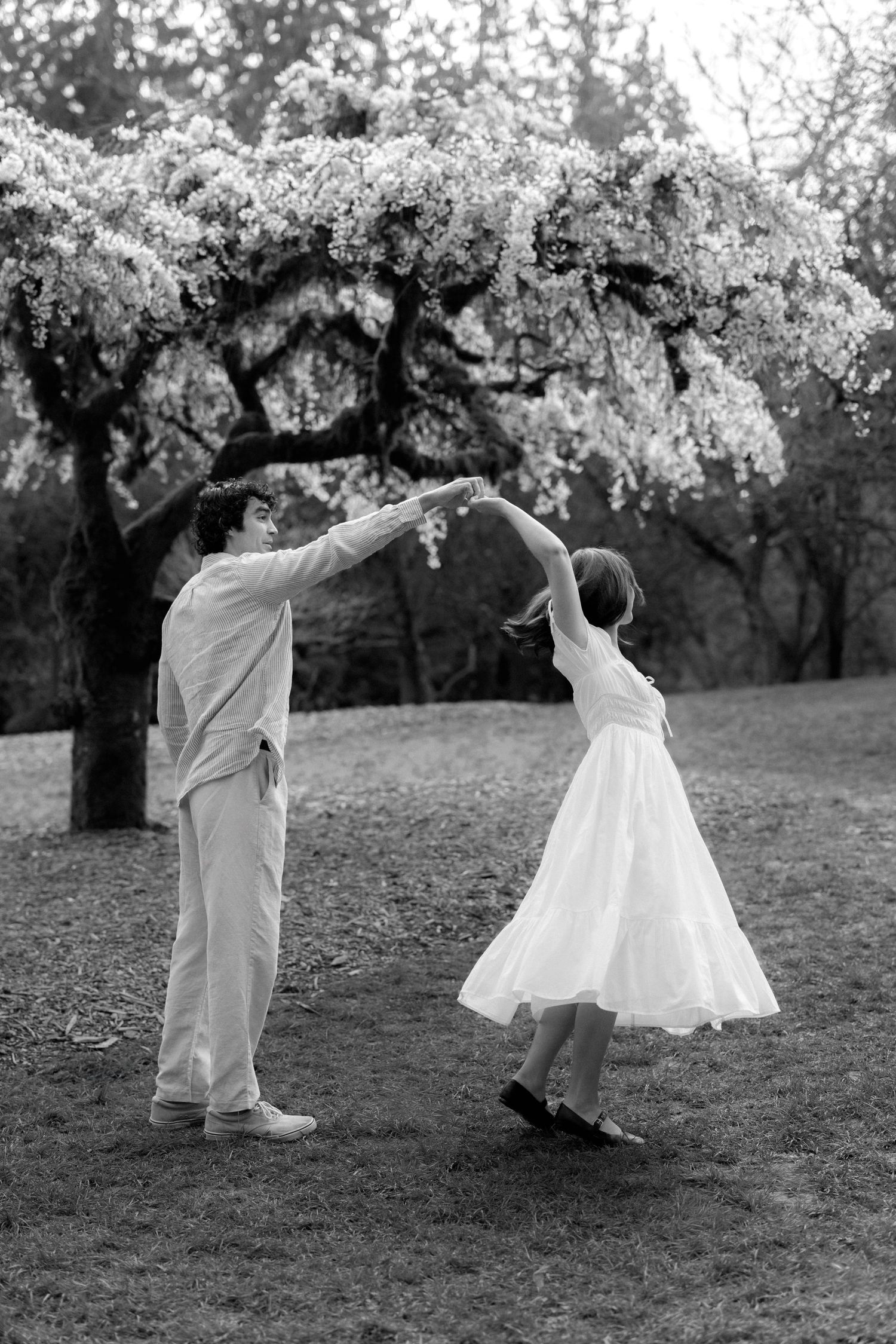 A couple dances joyfully under blooming cherry blossom trees in a romantic black and white photograph.