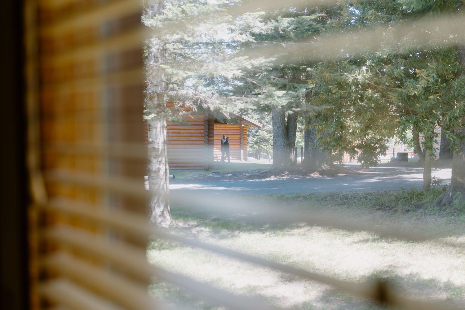 View through window blinds of a rustic log cabin surrounded by tall trees in a serene woodland setting.