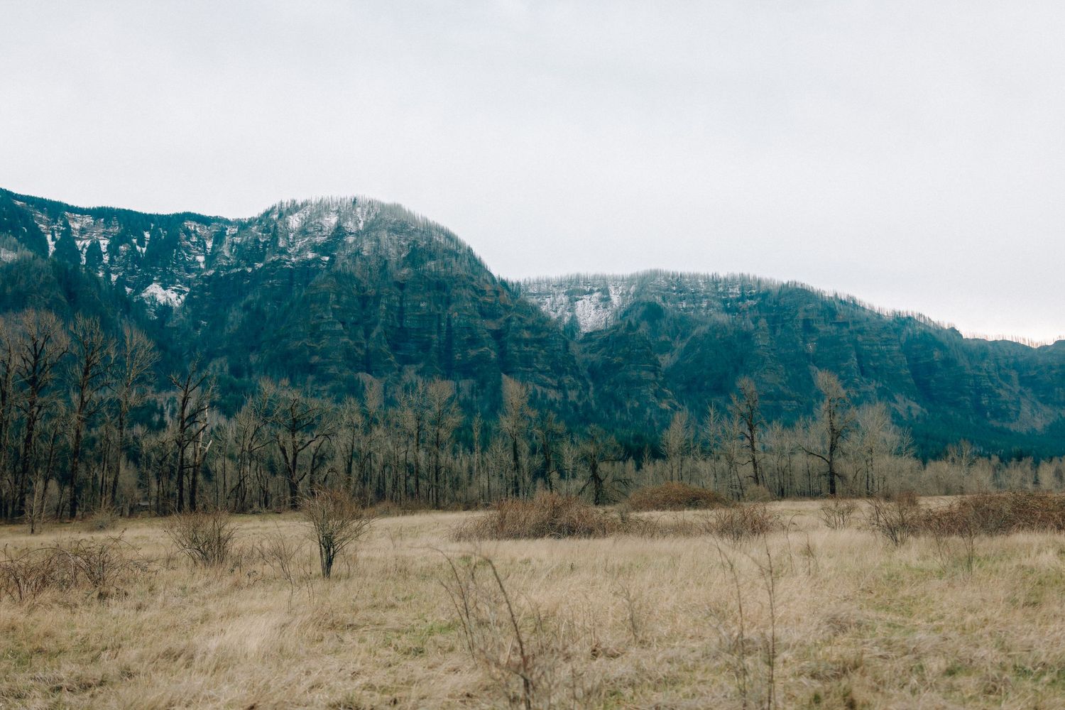 A panoramic view of snow-capped mountains and rolling hills in a serene natural landscape.