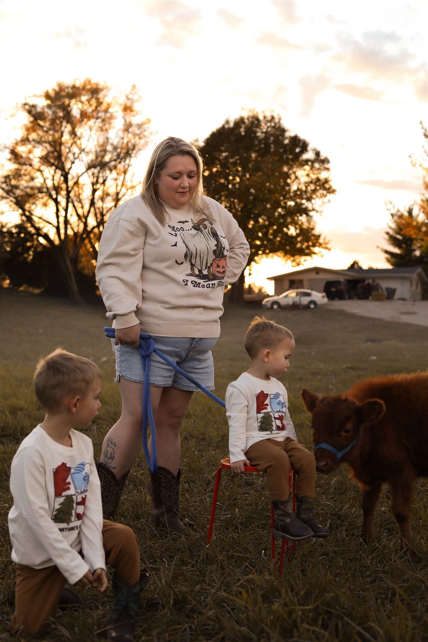 Child and dog playing together in grassy field at sunset.