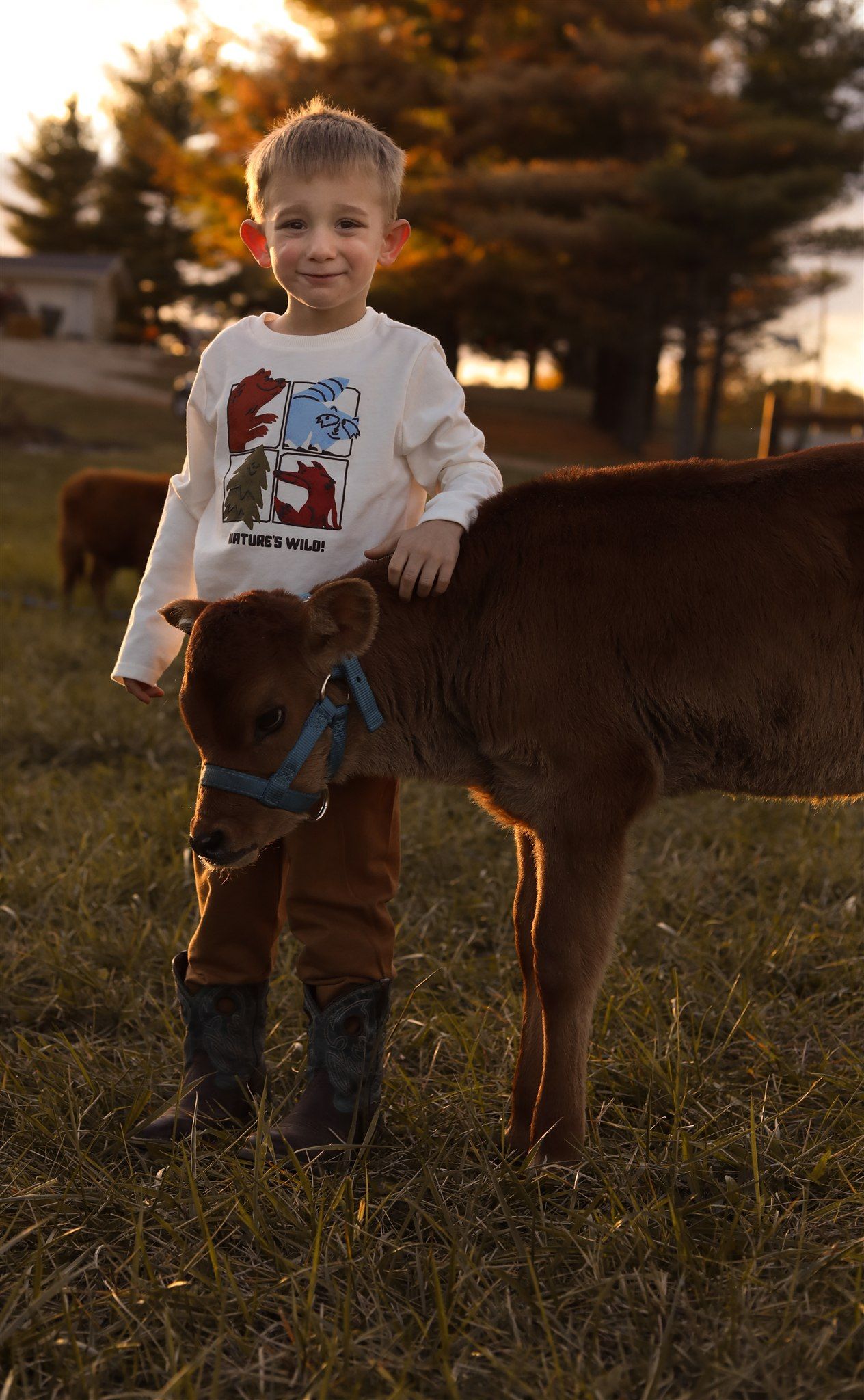 Child petting brown dog in grassy field during golden sunset.