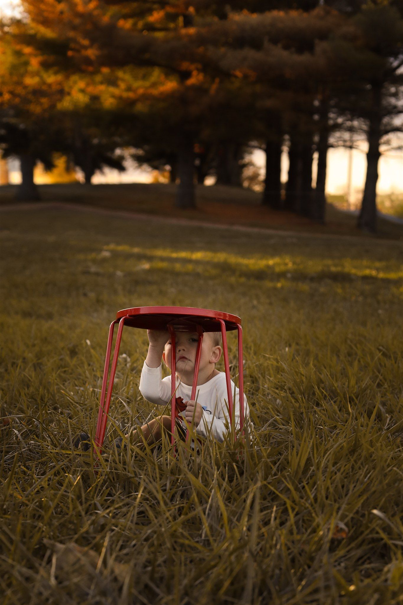 Person lying in tall grass during golden hour sunset.