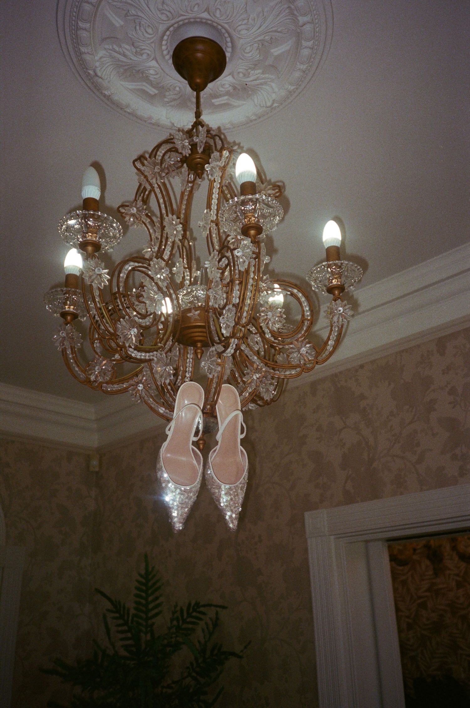Elegant crystal chandelier with multiple glass droplets illuminates a room with ornate ceiling molding and textured wallpaper.