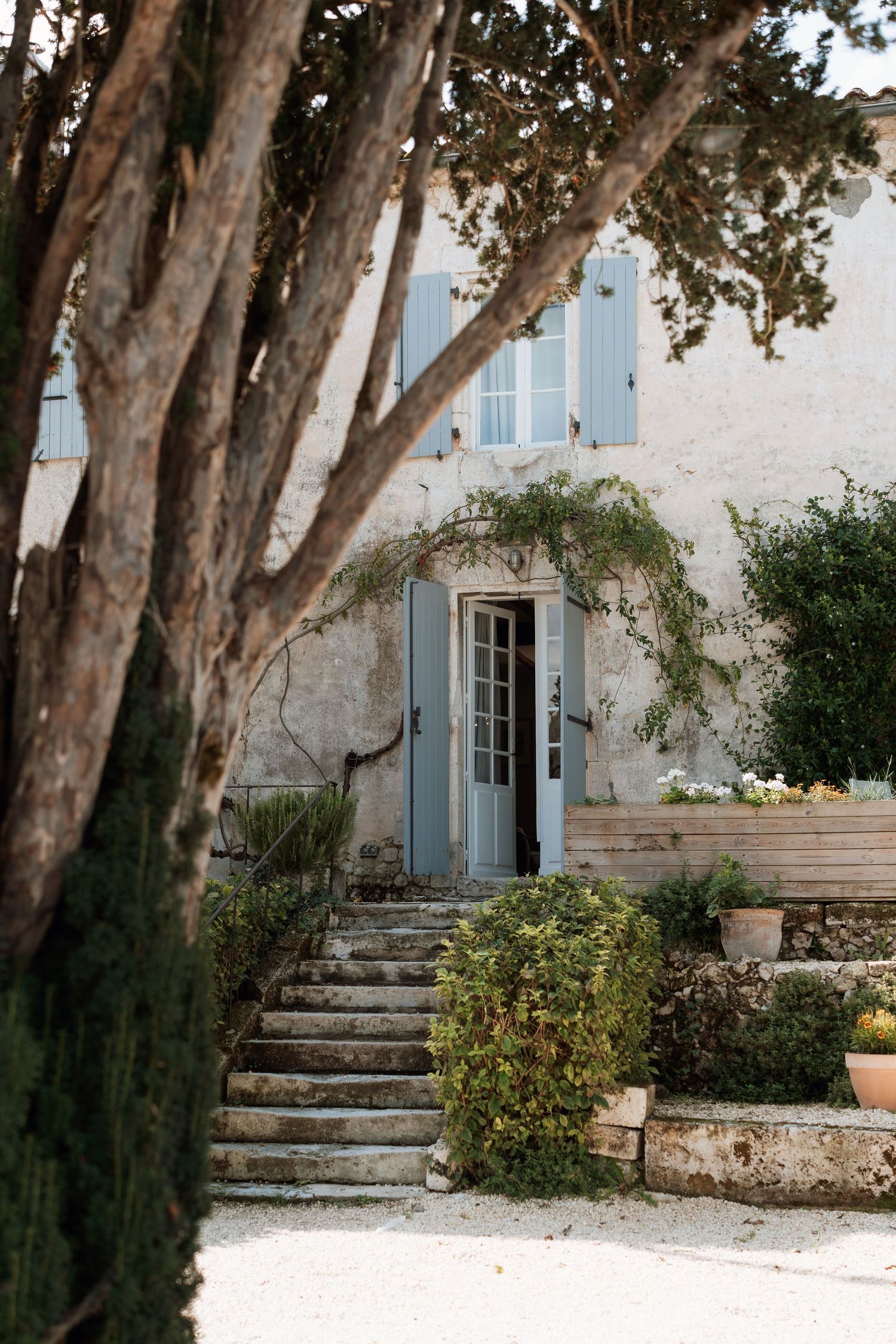 Stone steps lead to an elegant white building framed by large trees.